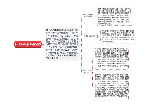 狂犬病是怎么引起的