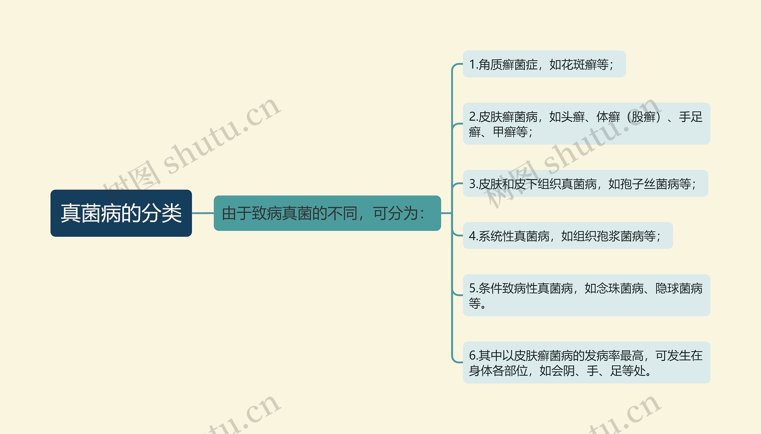 真菌病的分类