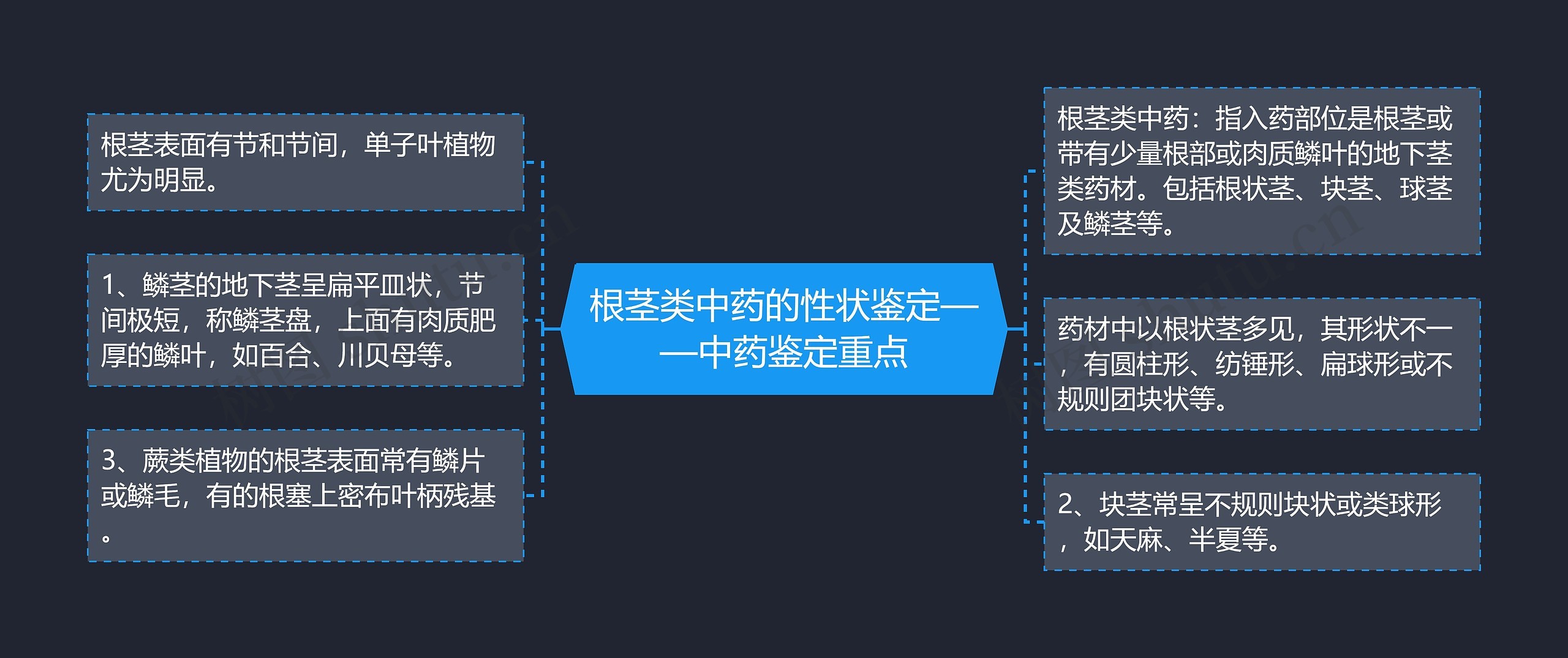 根茎类中药的性状鉴定——中药鉴定重点思维导图