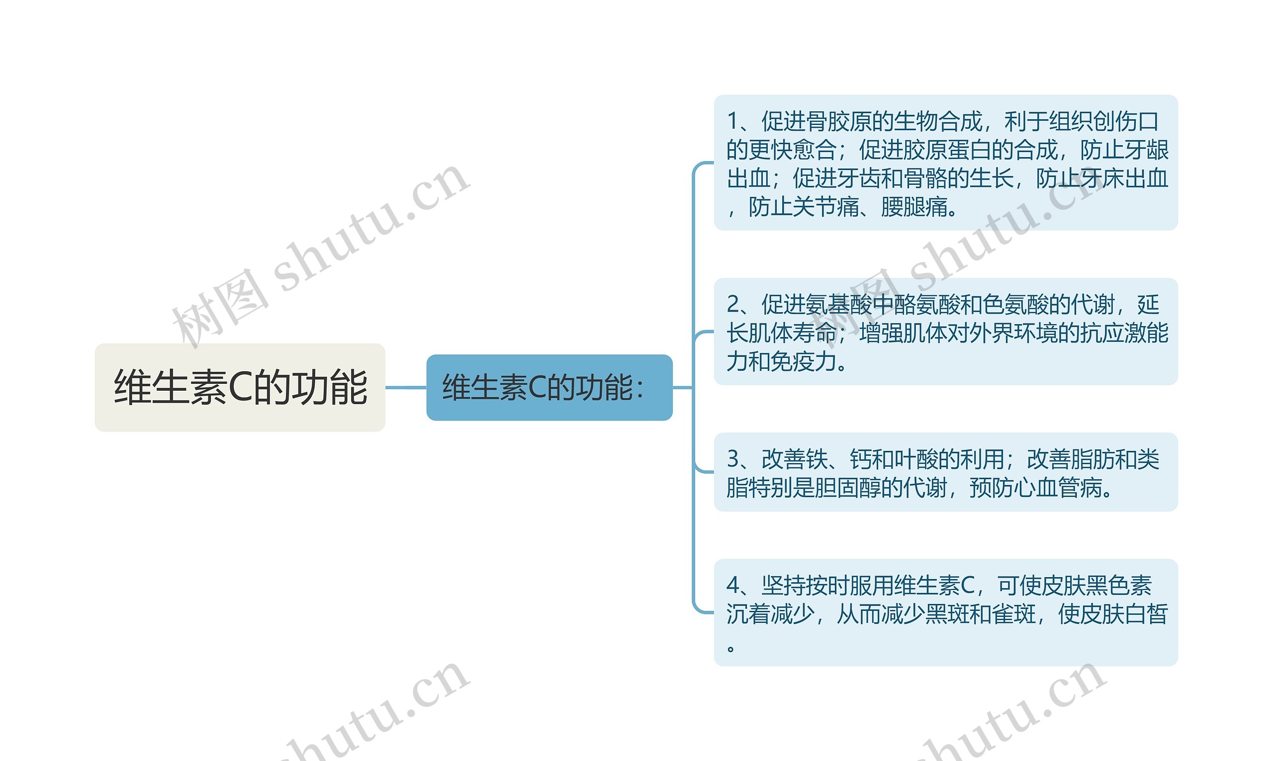 维生素C的功能