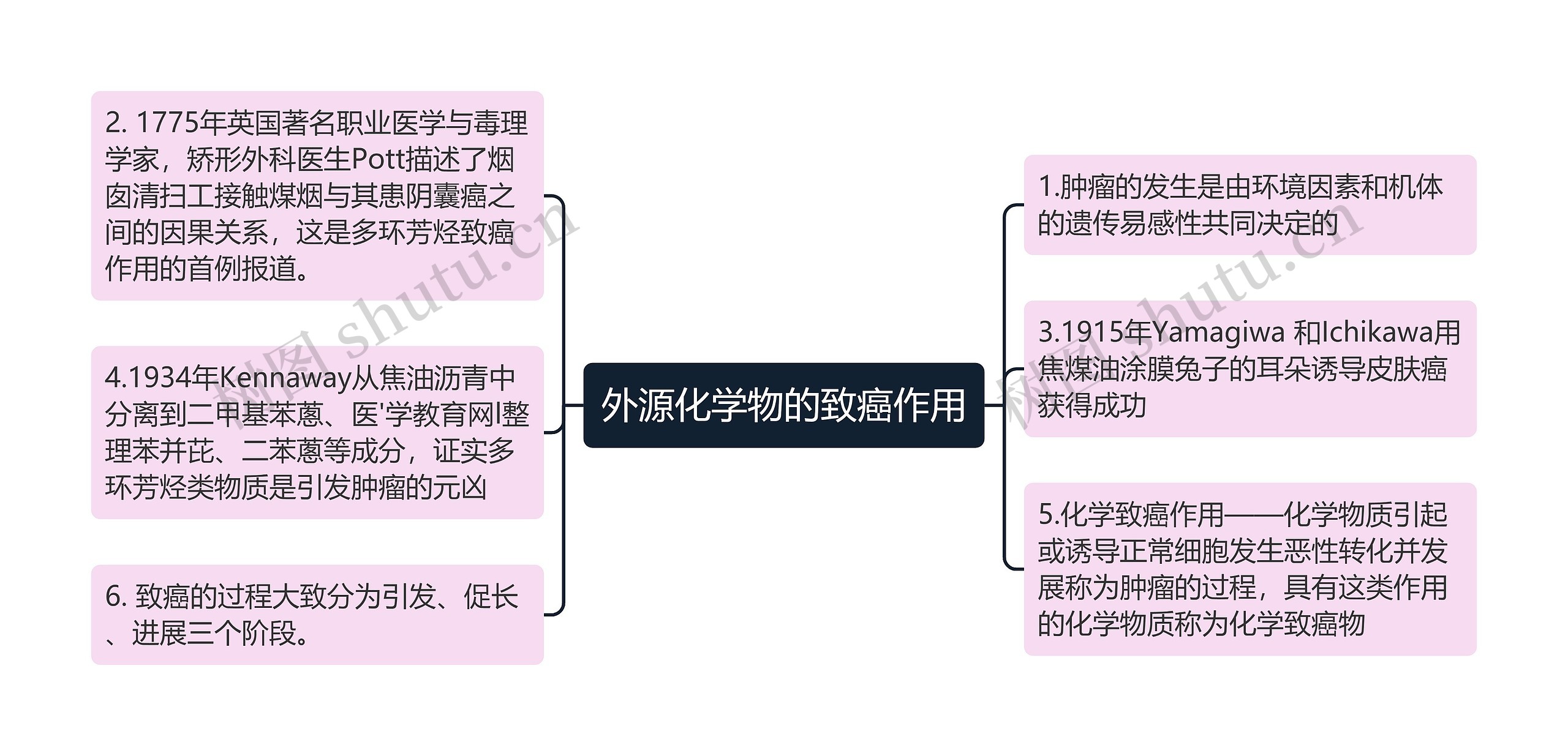 外源化学物的致癌作用