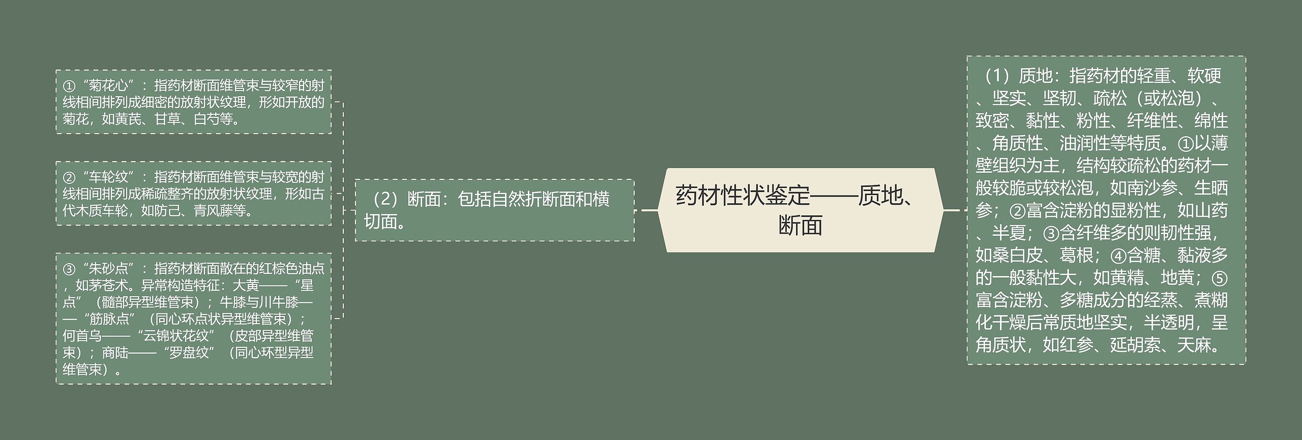 药材性状鉴定——质地、断面