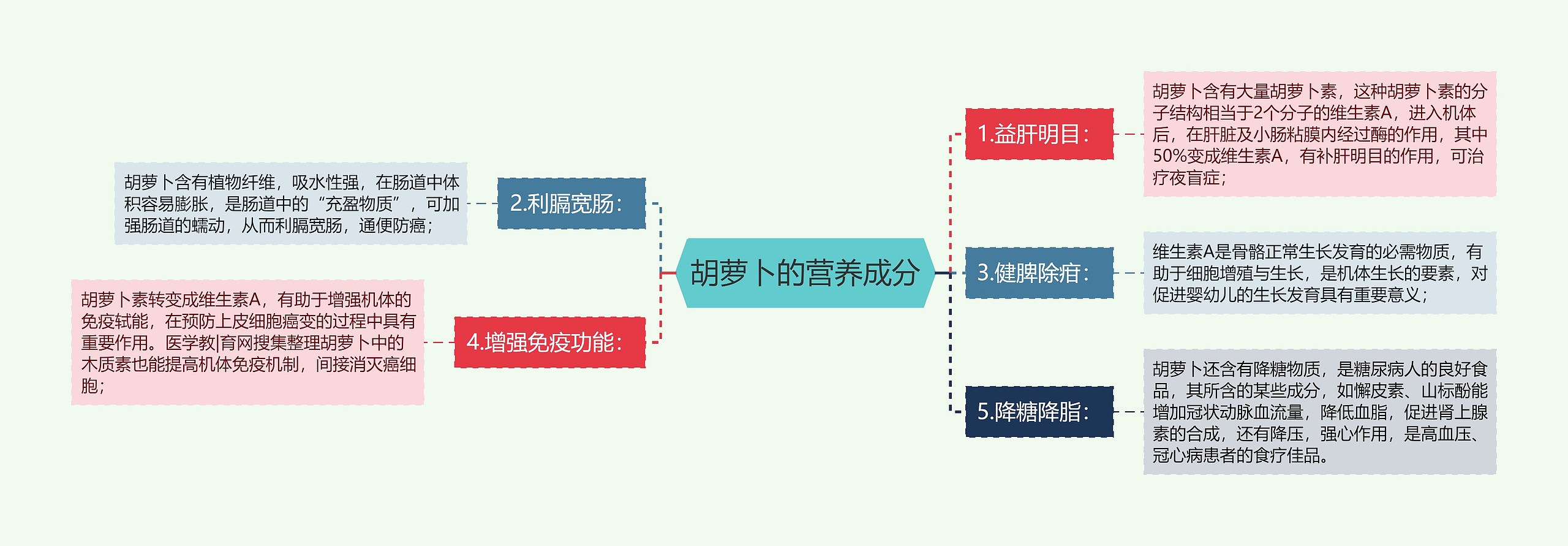 胡萝卜的营养成分思维导图