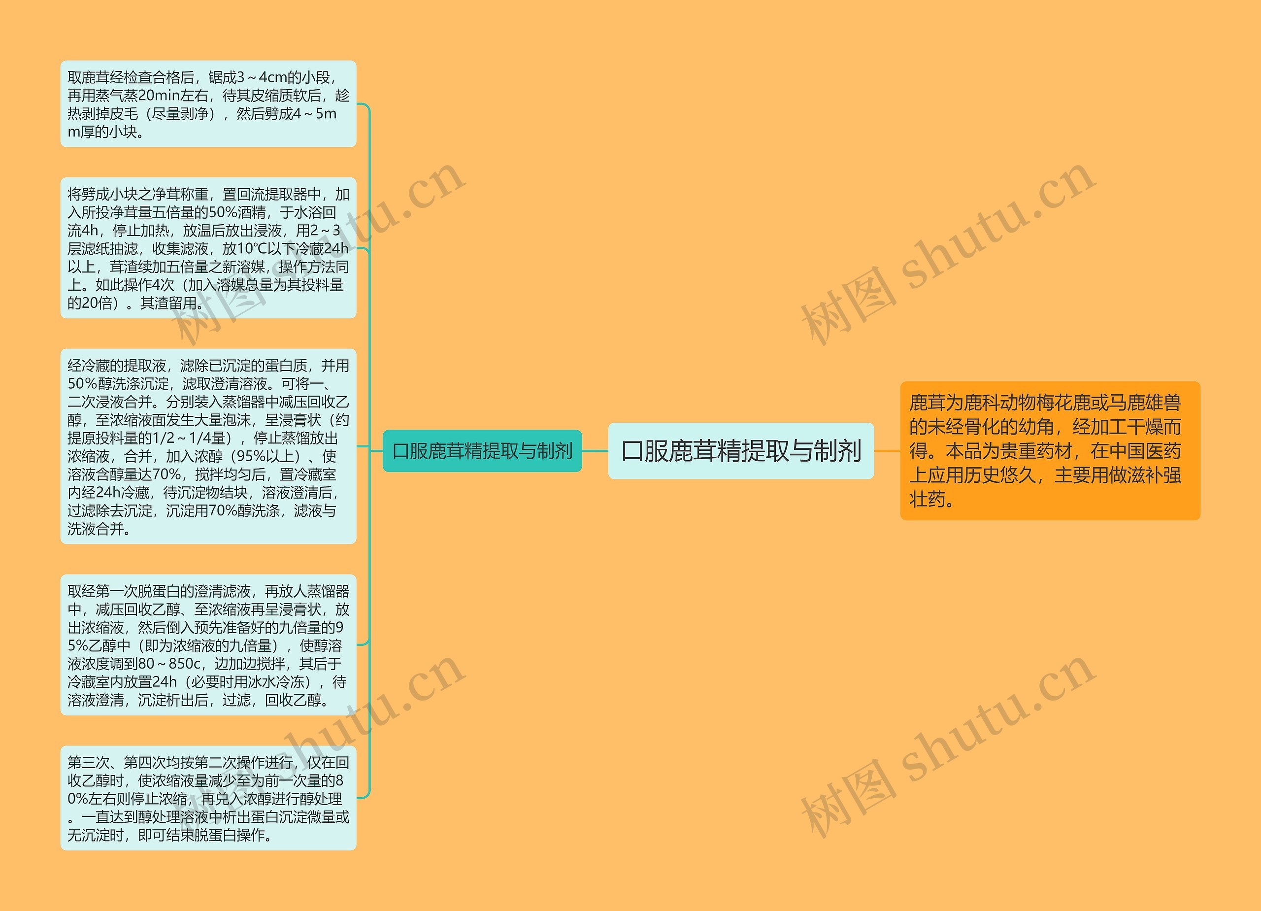 口服鹿茸精提取与制剂