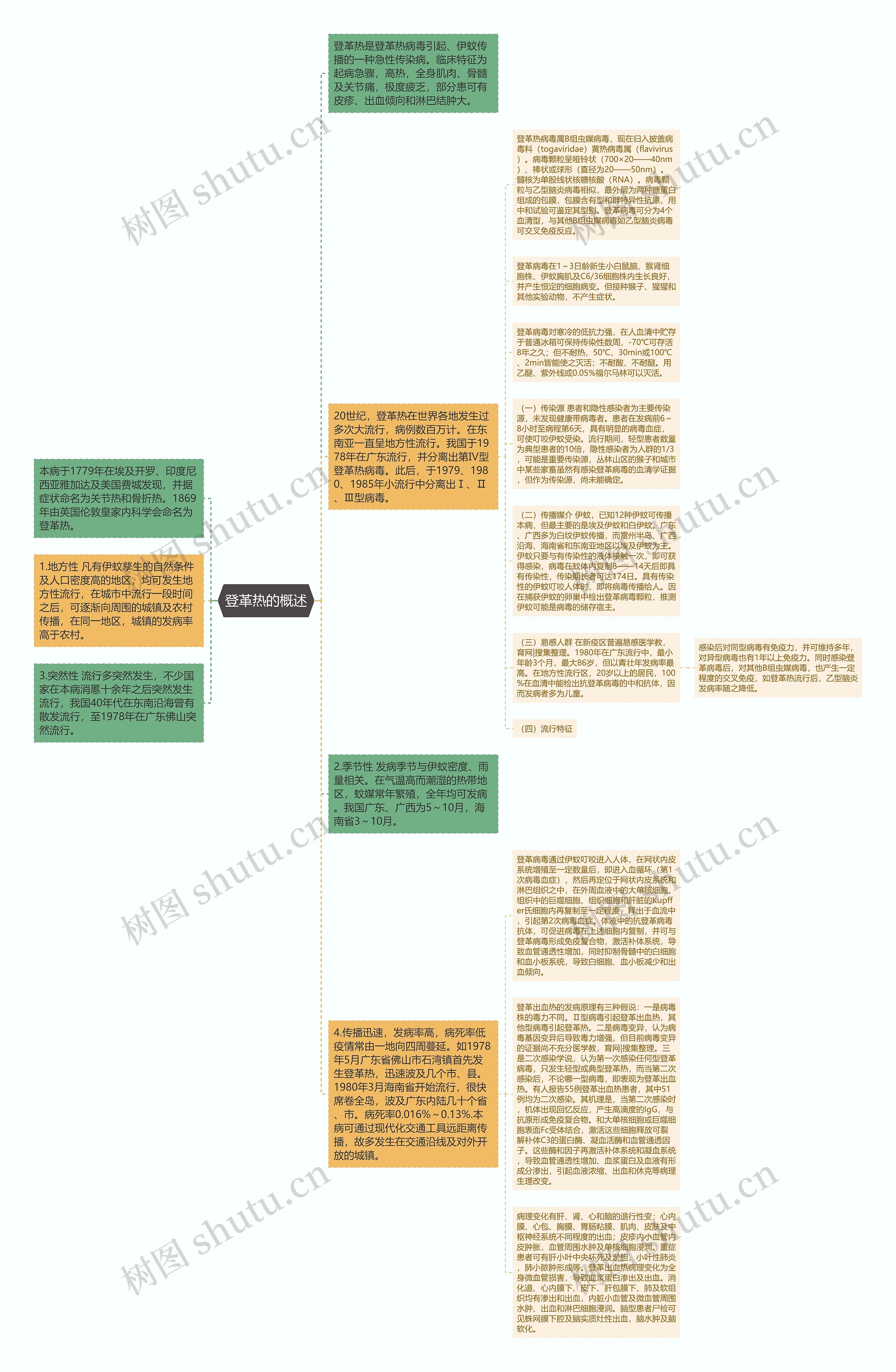 登革热的概述思维导图