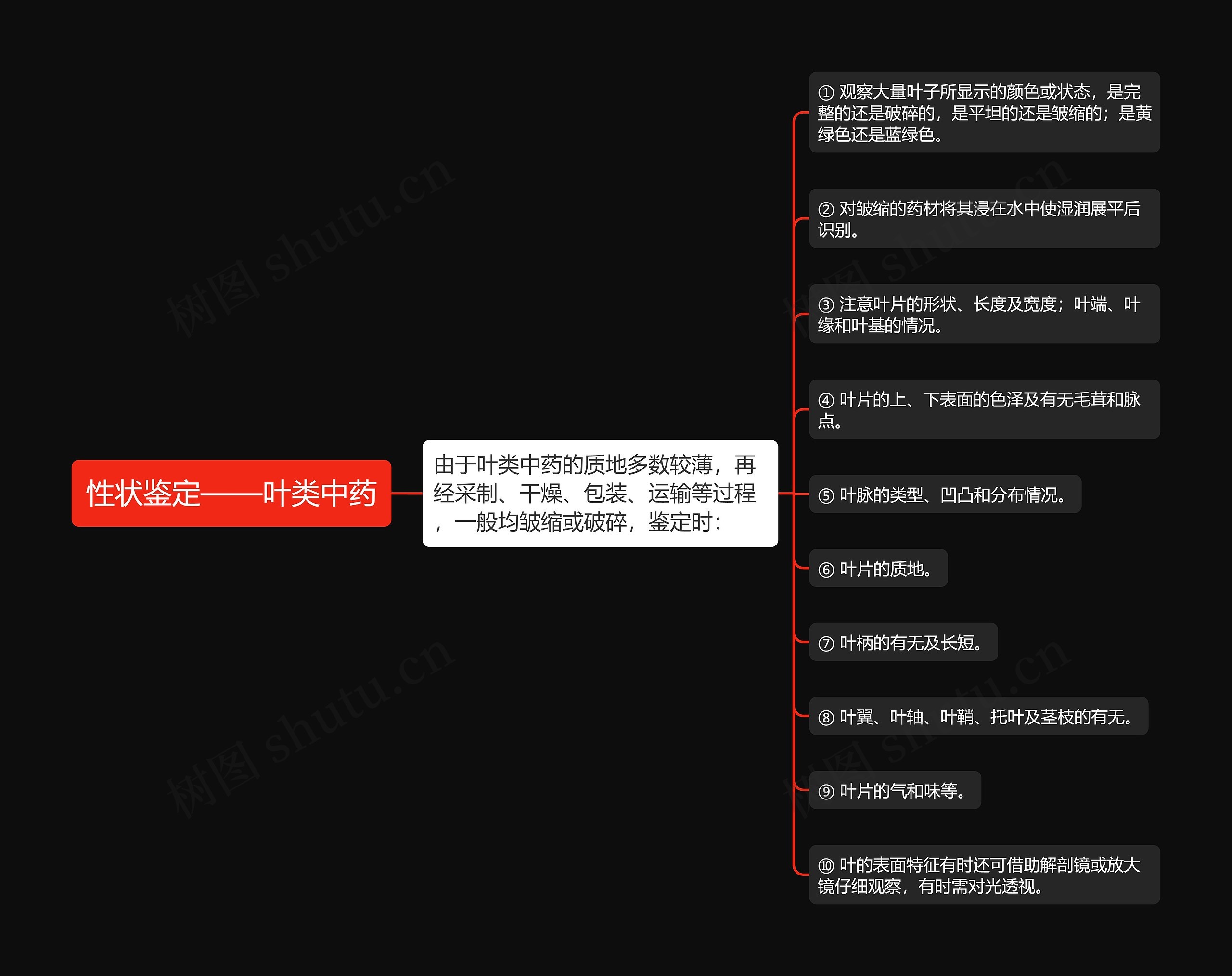 性状鉴定——叶类中药思维导图