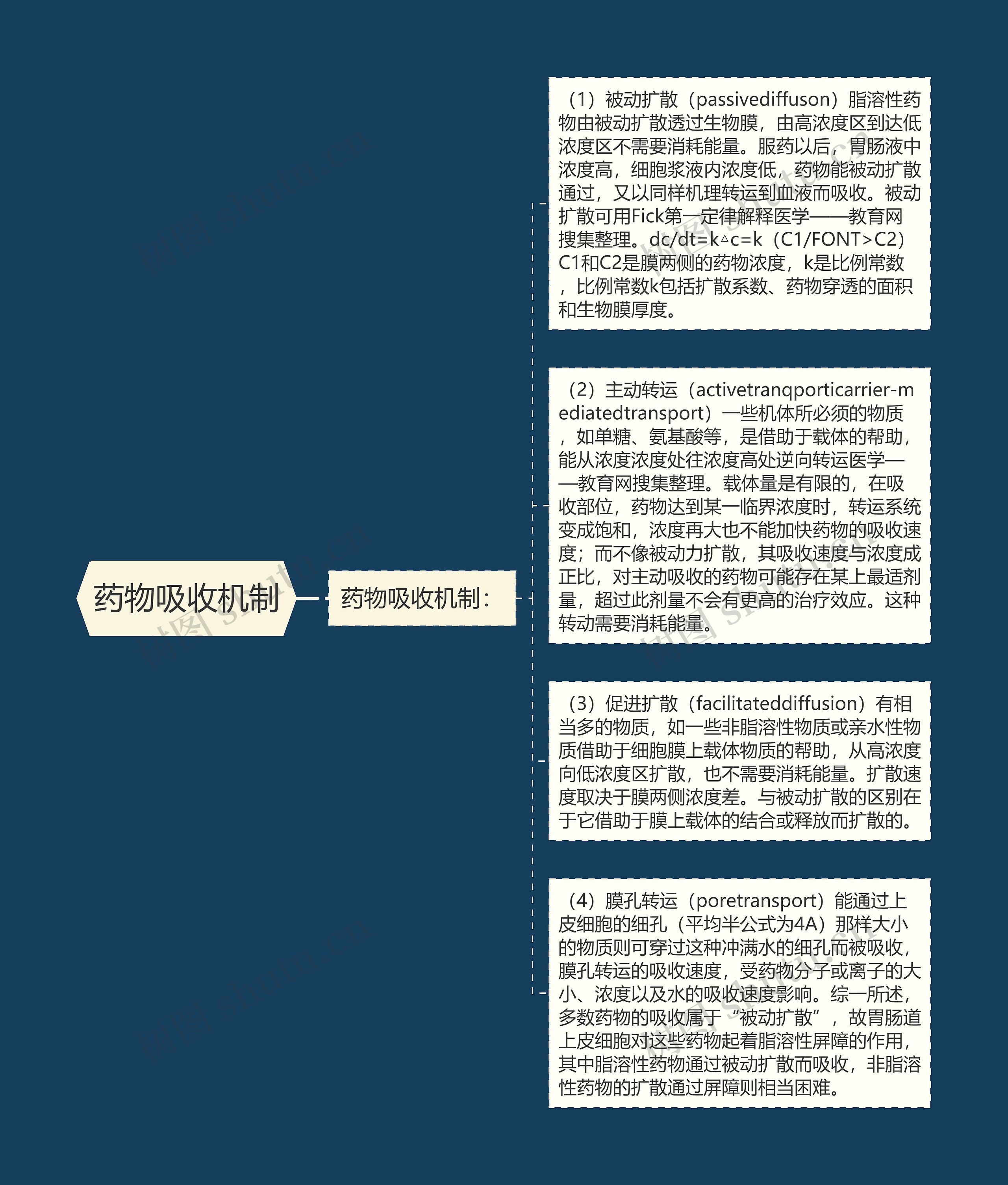 药物吸收机制思维导图