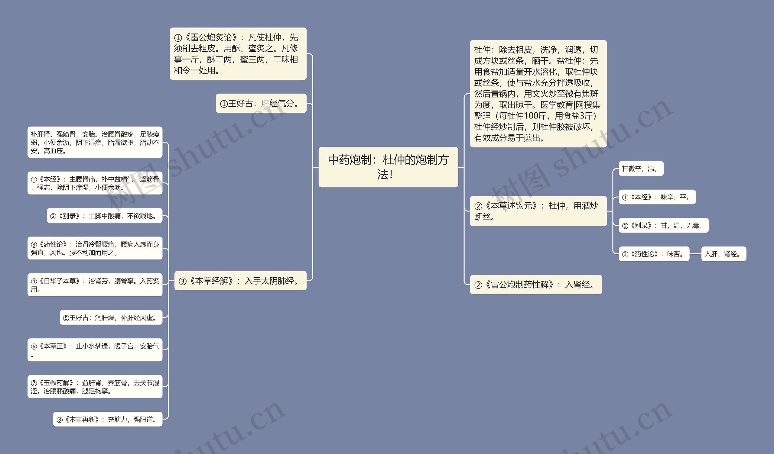 中药炮制：杜仲的炮制方法！思维导图