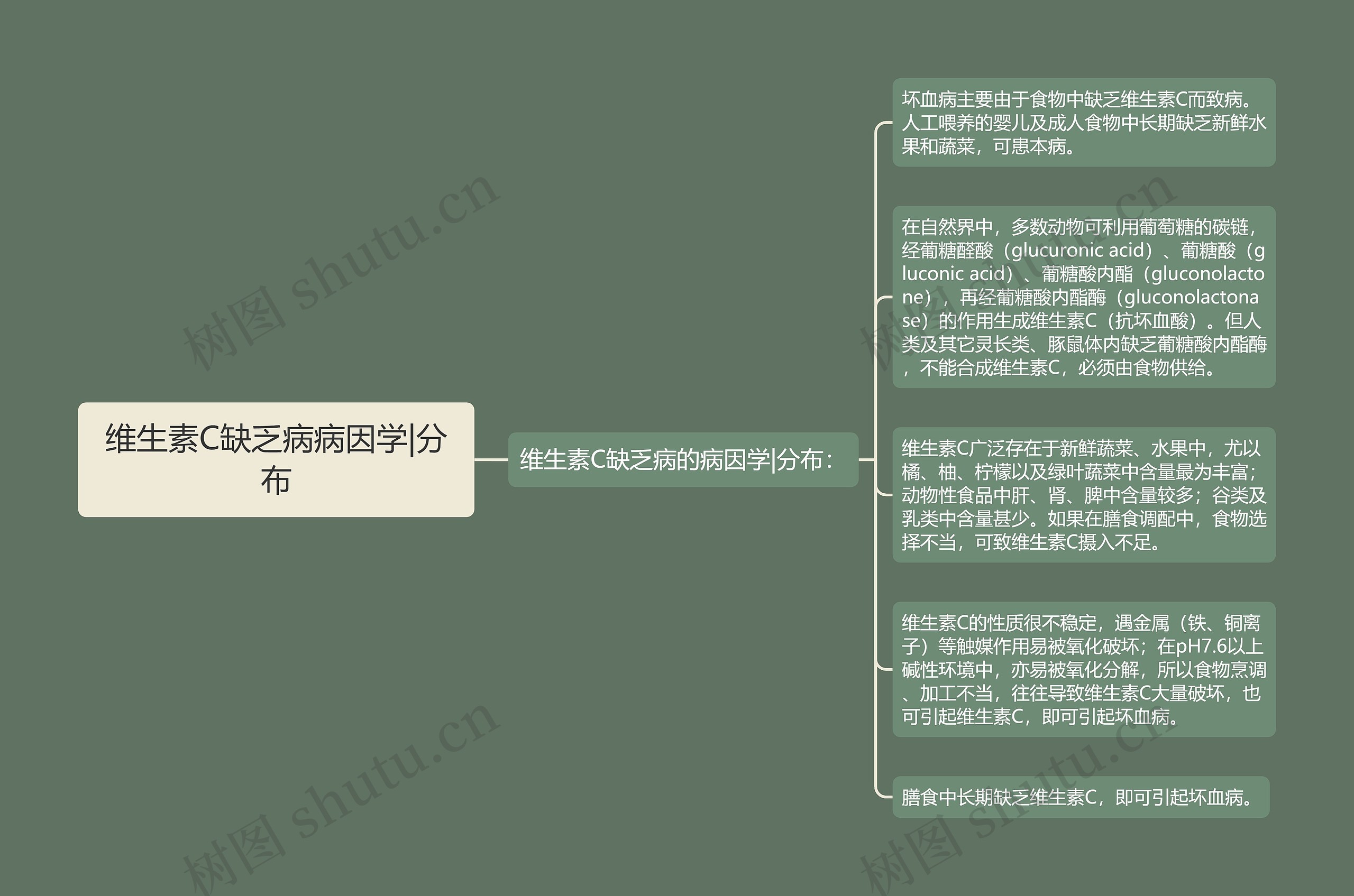 维生素C缺乏病病因学|分布思维导图