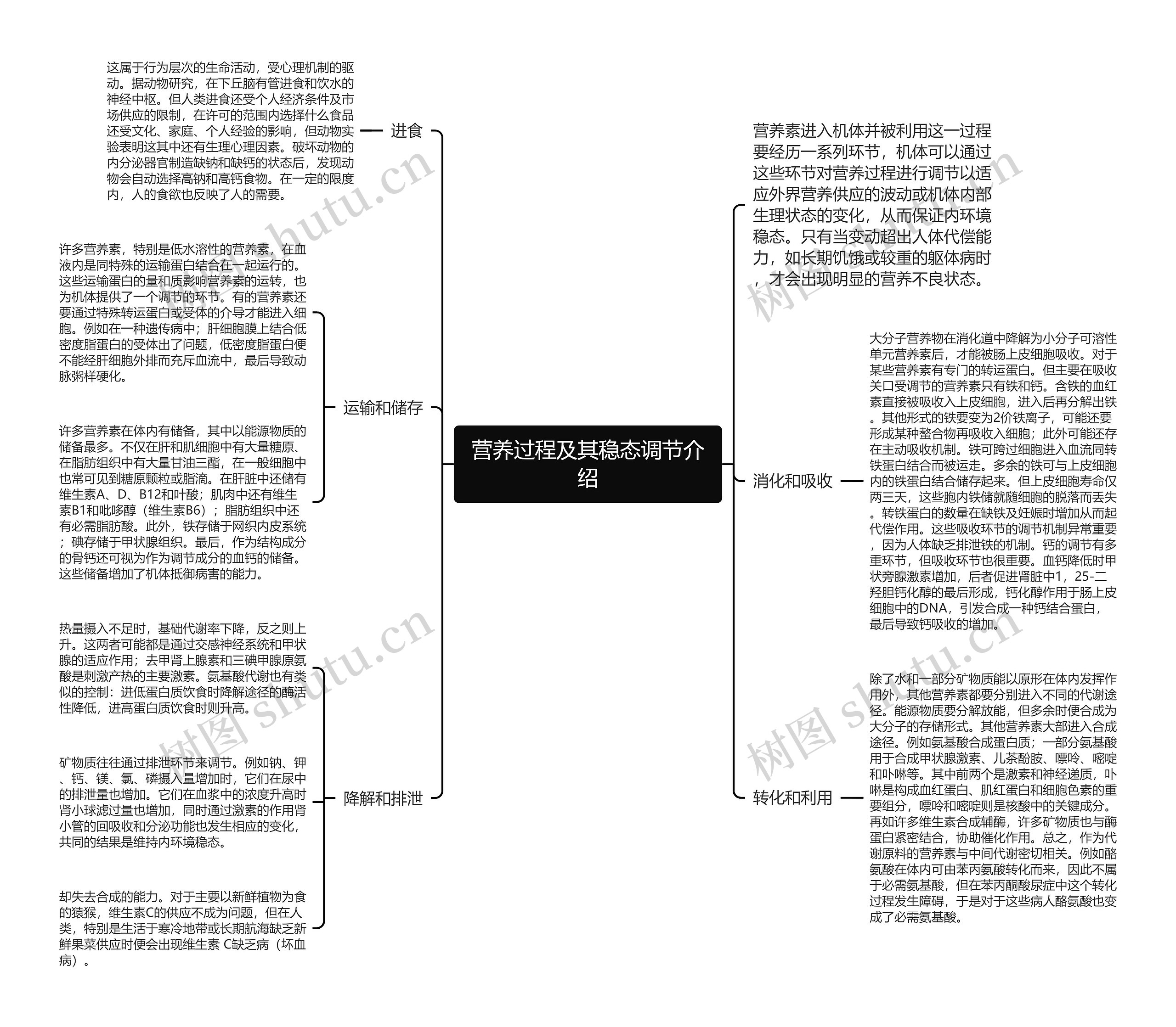 营养过程及其稳态调节介绍