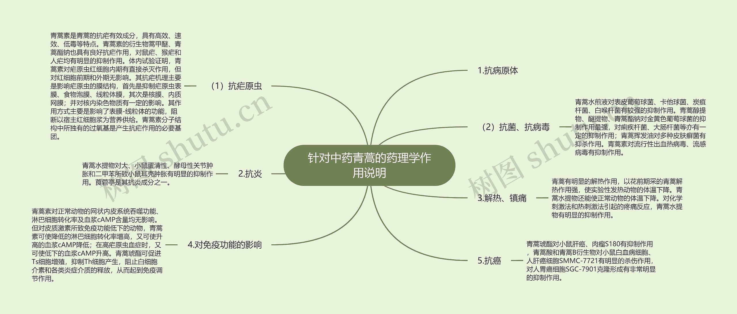 针对中药青蒿的药理学作用说明