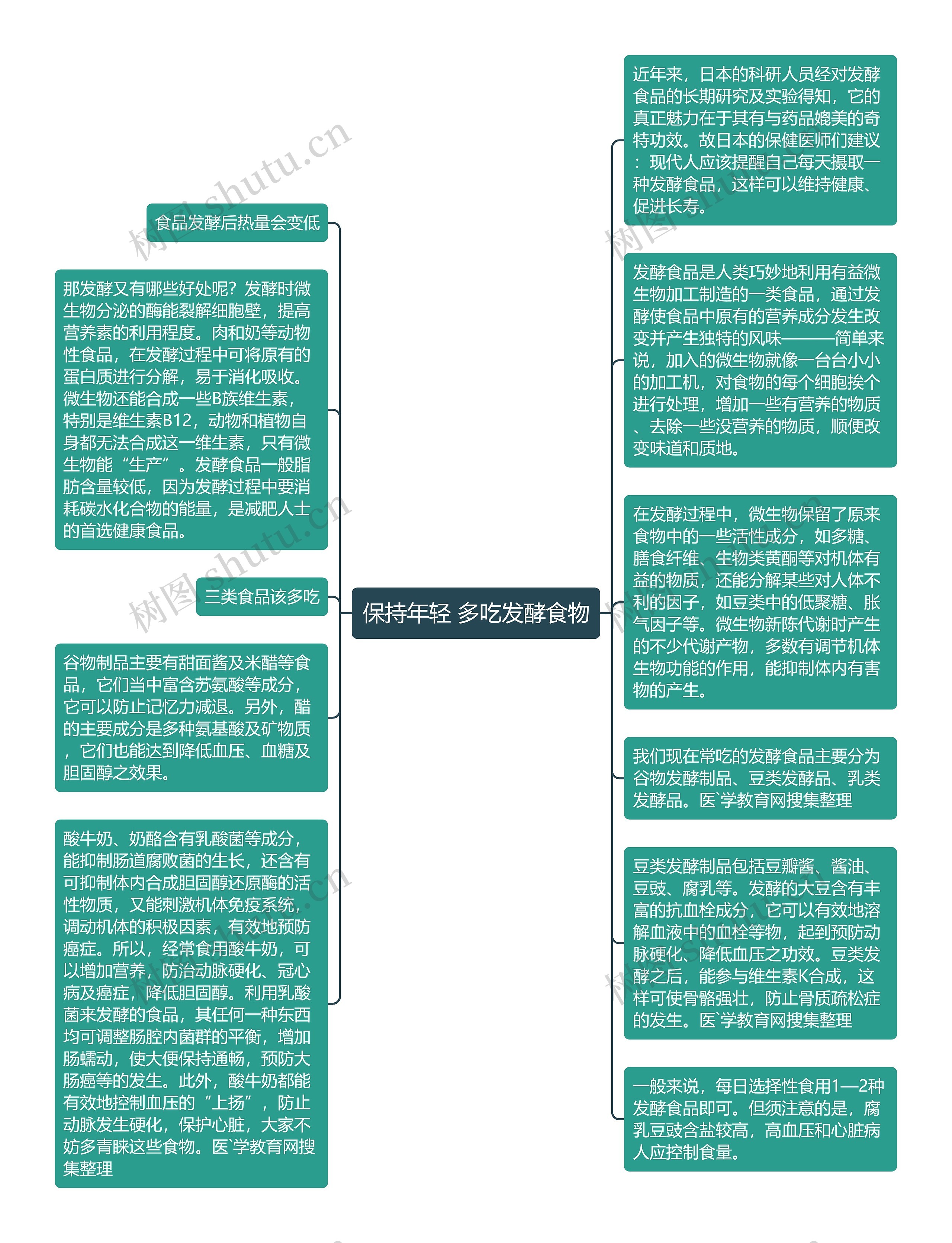 保持年轻 多吃发酵食物思维导图