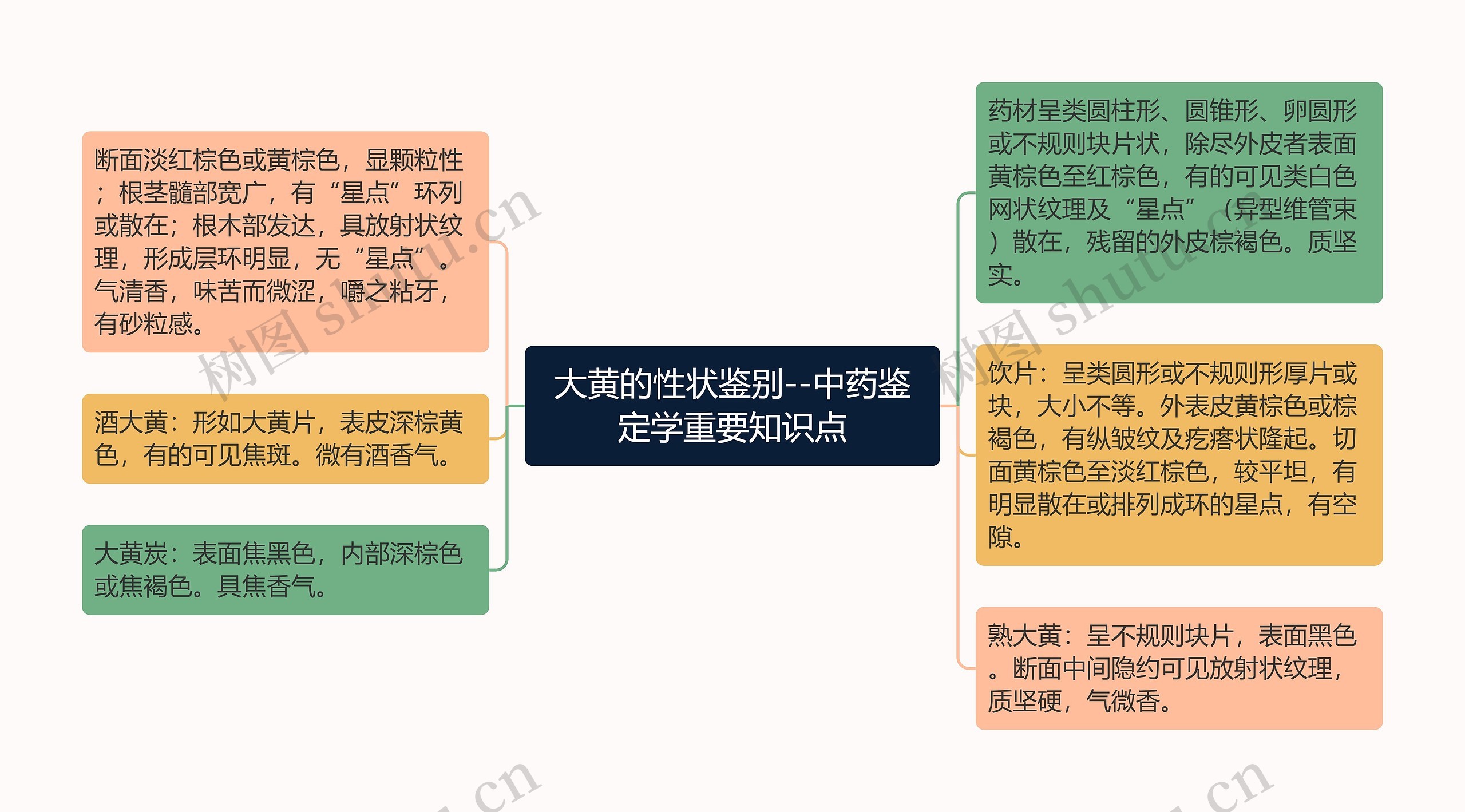 大黄的性状鉴别--中药鉴定学重要知识点思维导图