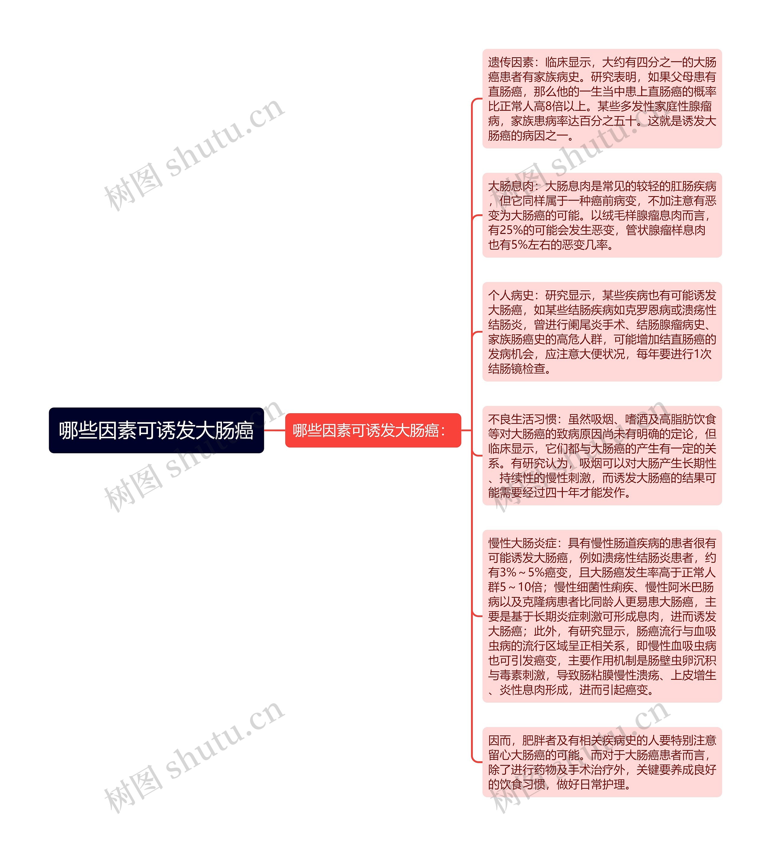 哪些因素可诱发大肠癌思维导图