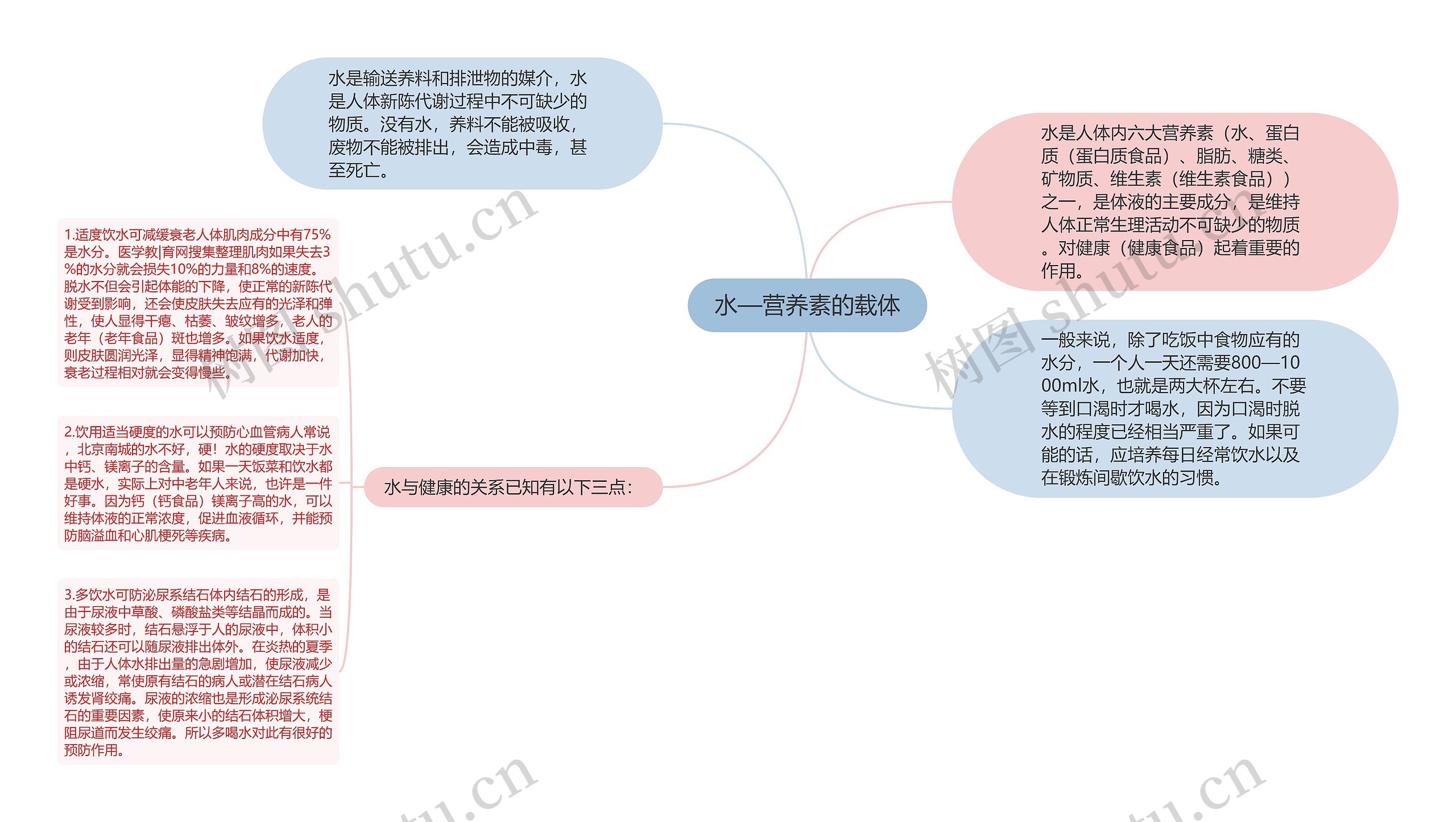 水—营养素的载体思维导图