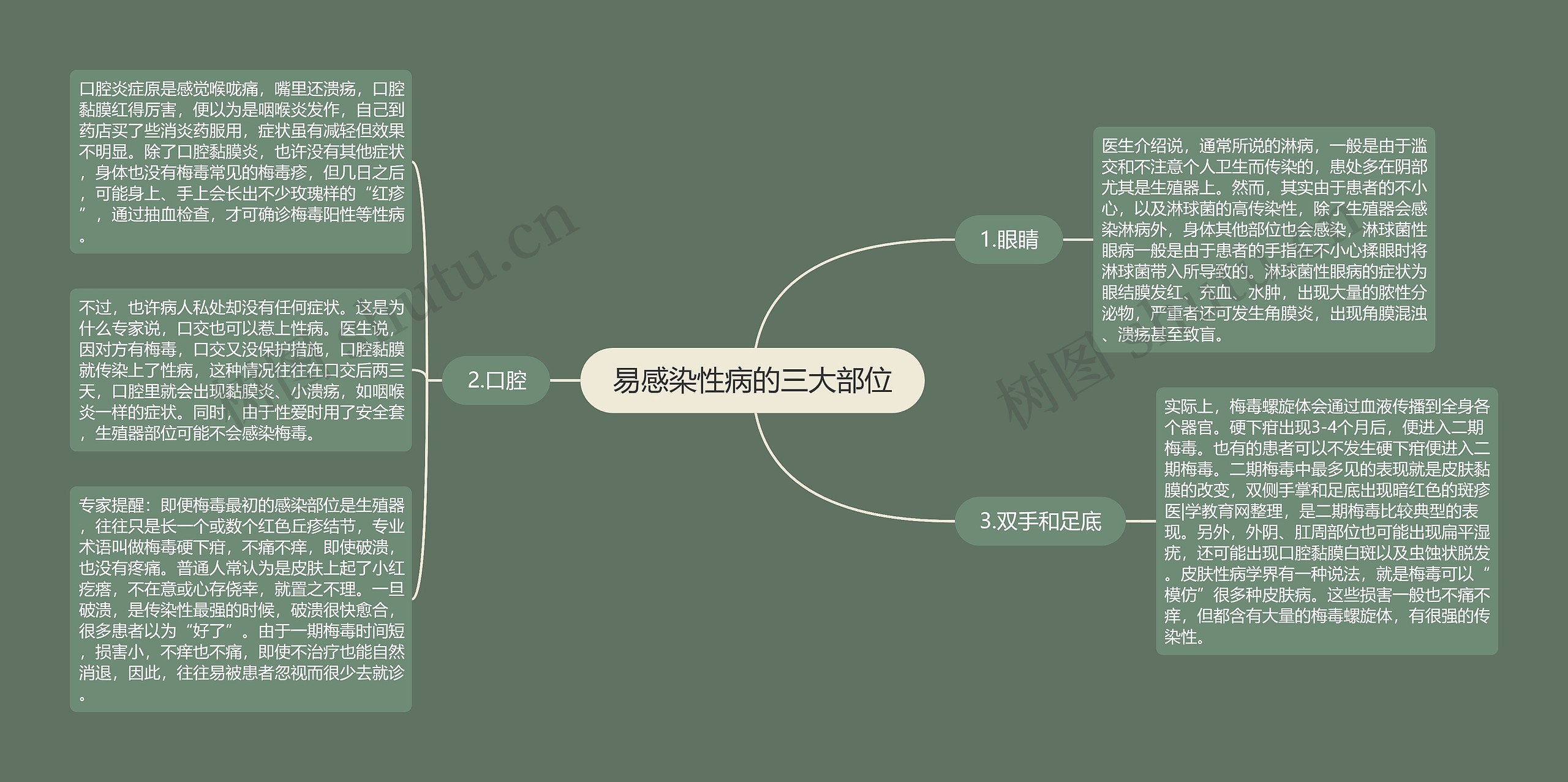 易感染性病的三大部位思维导图