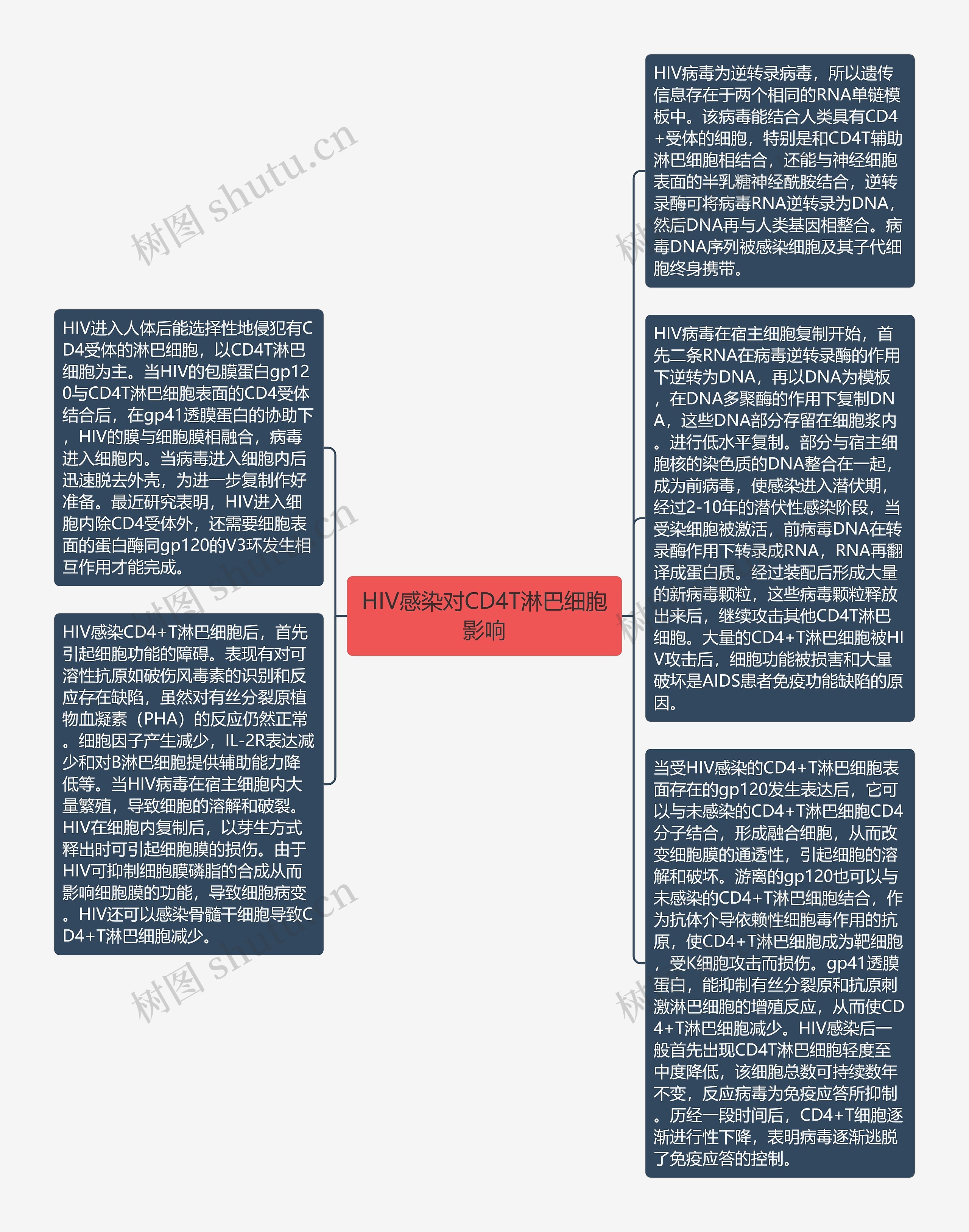 HIV感染对CD4T淋巴细胞影响