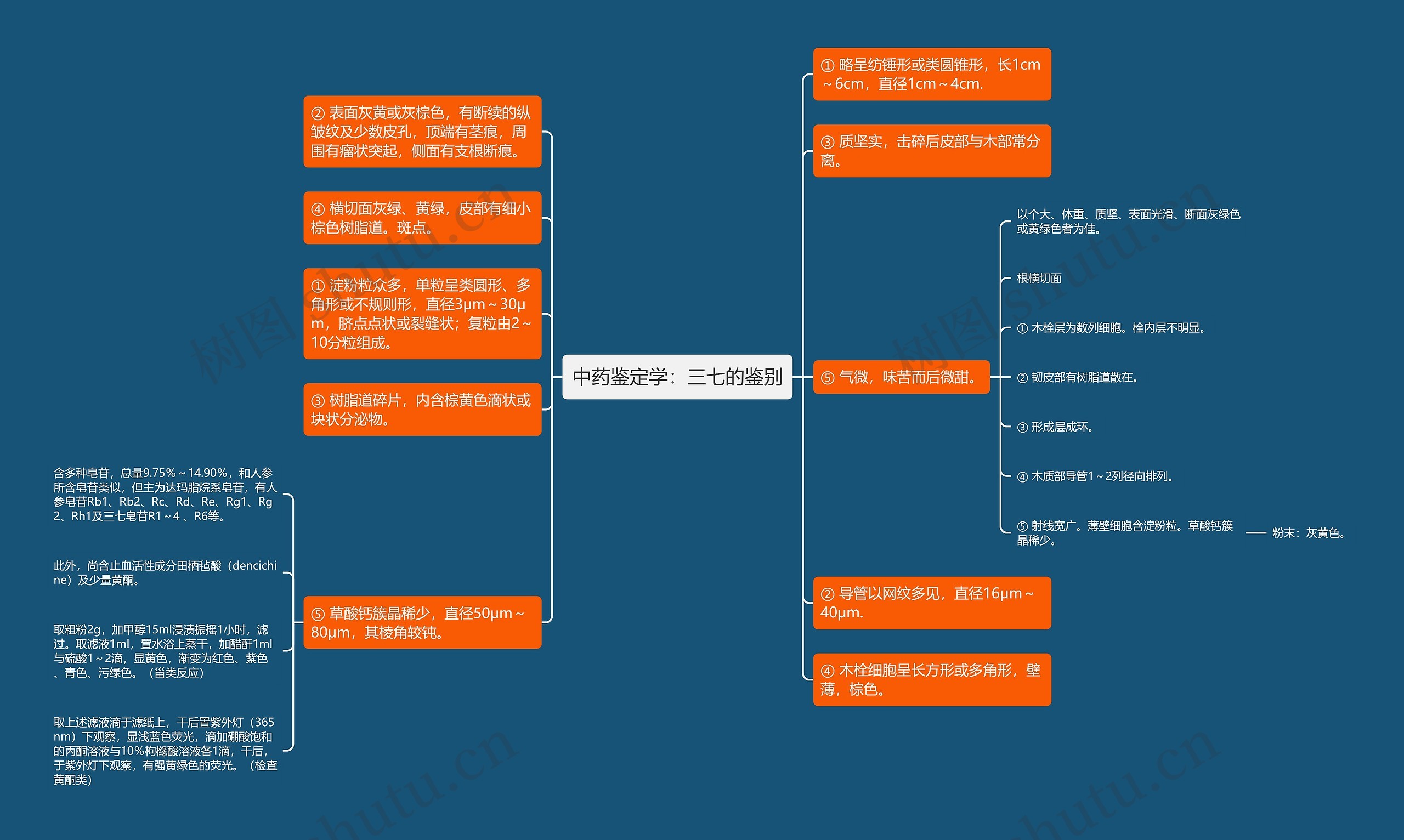 中药鉴定学：三七的鉴别思维导图