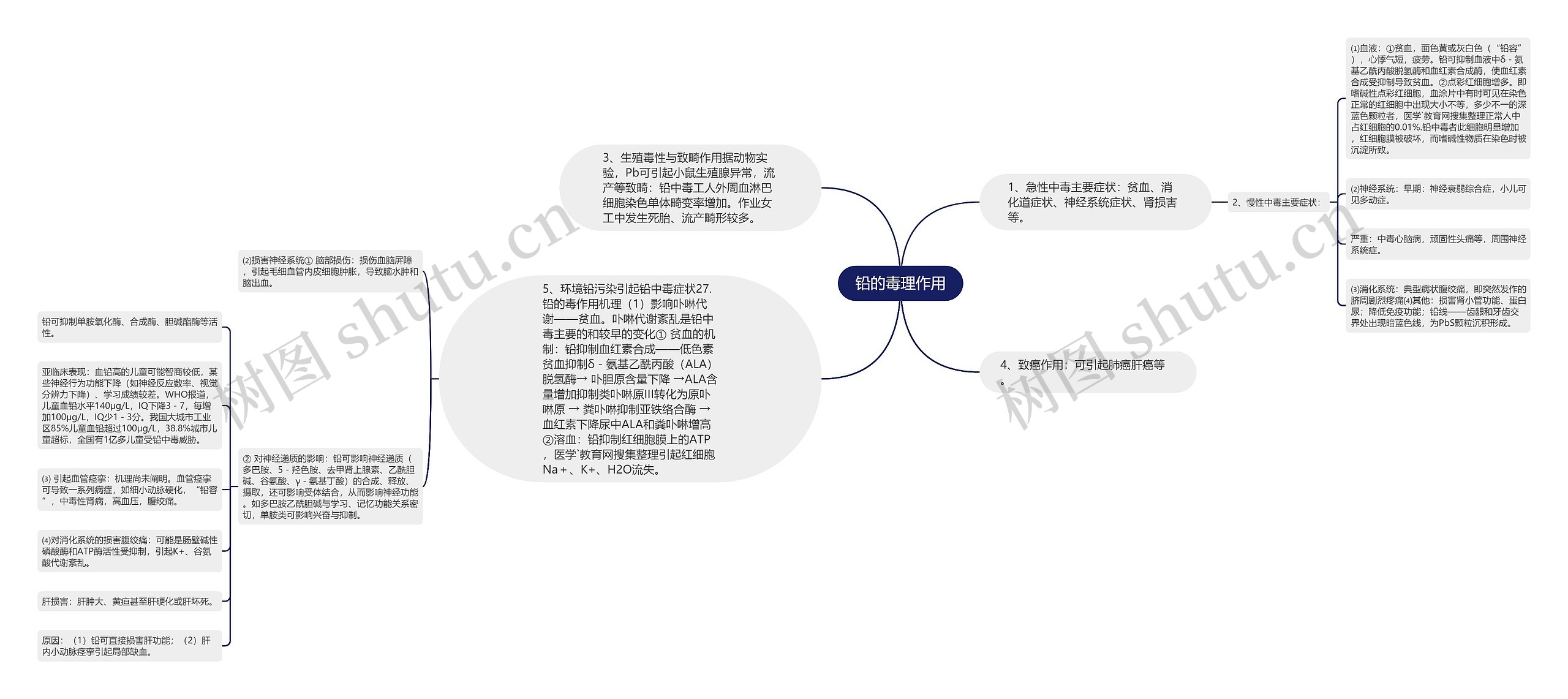 铅的毒理作用思维导图