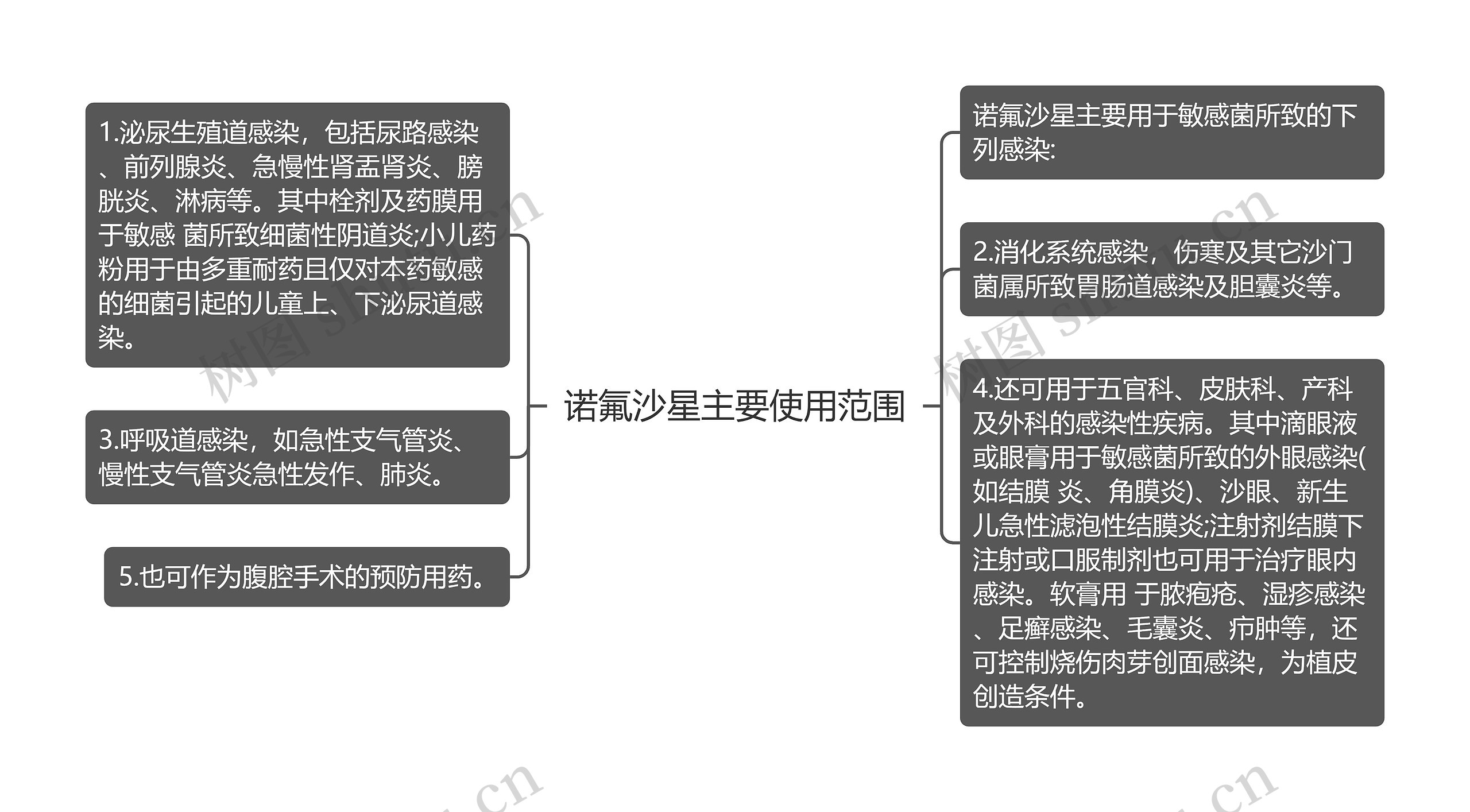 诺氟沙星主要使用范围思维导图