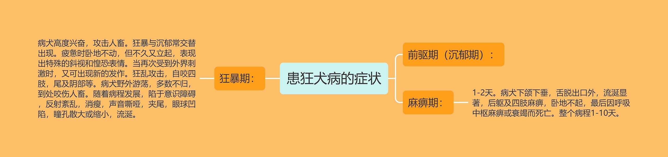 患狂犬病的症状 患狂犬病的症状