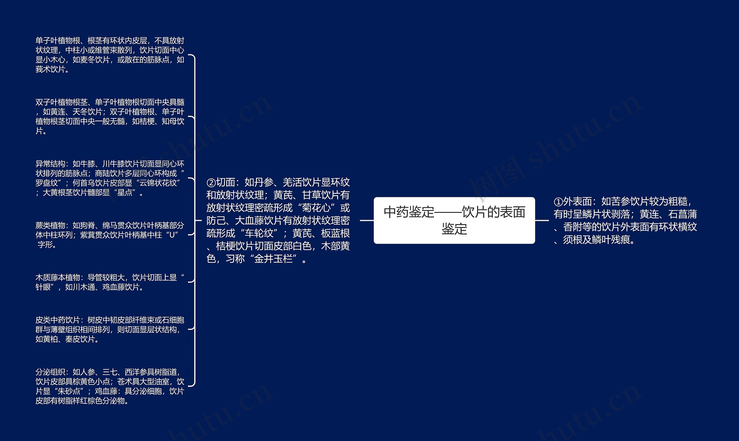 中药鉴定——饮片的表面鉴定思维导图