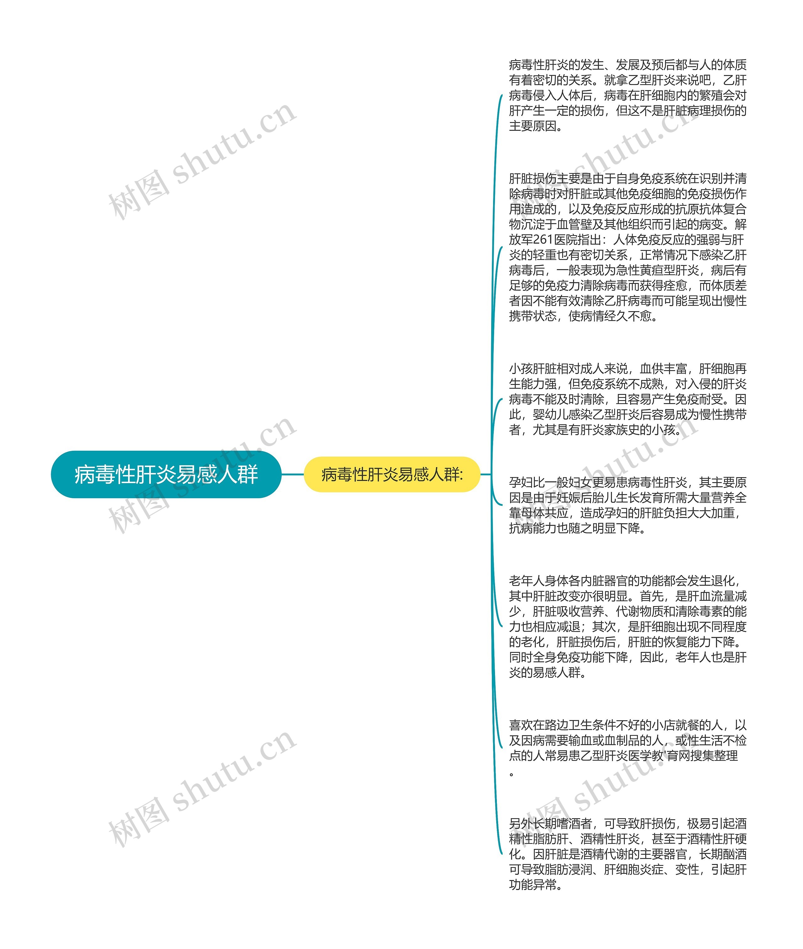 病毒性肝炎易感人群思维导图