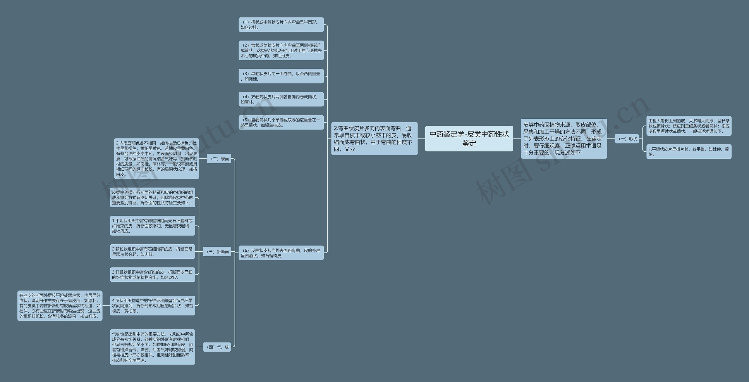 中药鉴定学-皮类中药性状鉴定思维导图