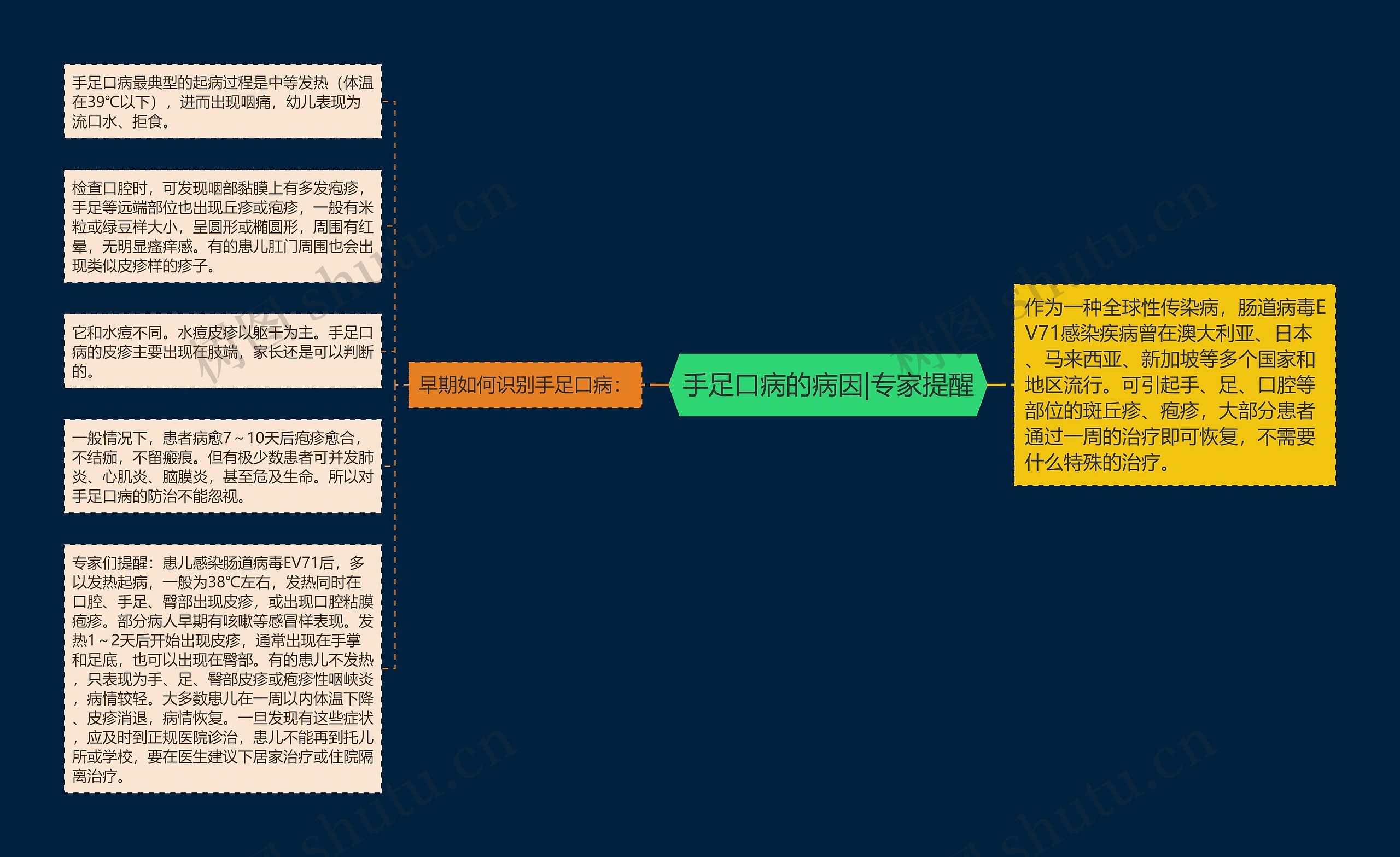 手足口病的病因|专家提醒思维导图