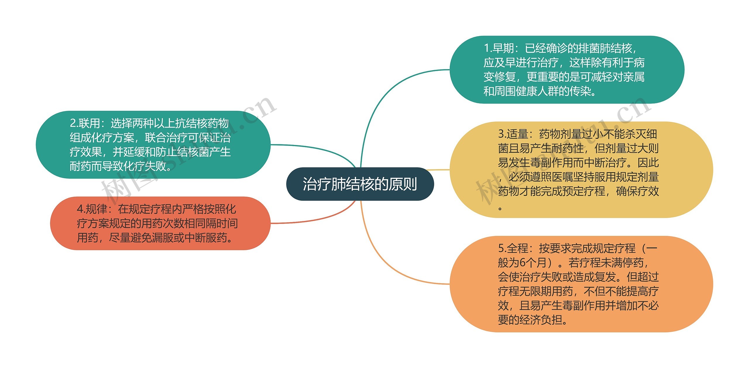 治疗肺结核的原则思维导图