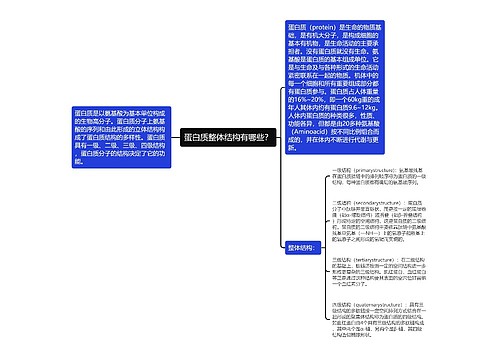 蛋白质整体结构有哪些？