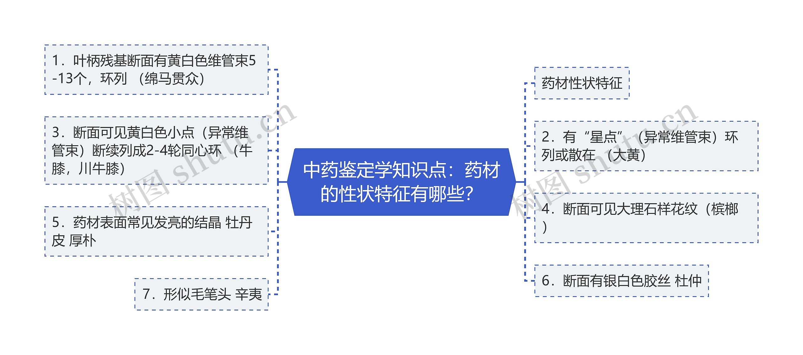 中药鉴定学知识点：药材的性状特征有哪些？