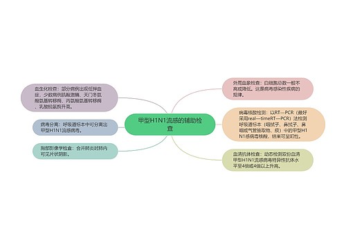 甲型H1N1流感的辅助检查