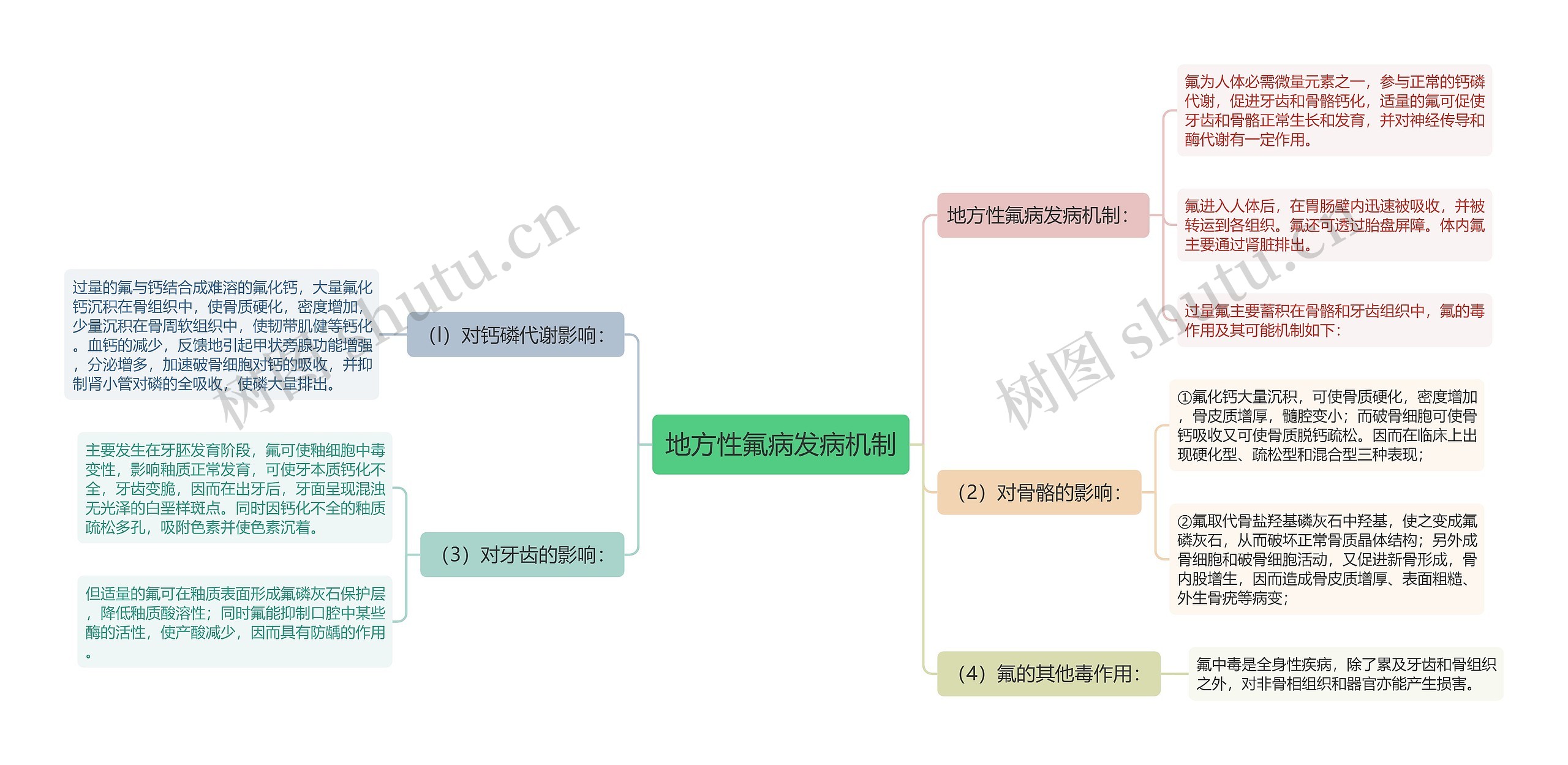 地方性氟病发病机制思维导图