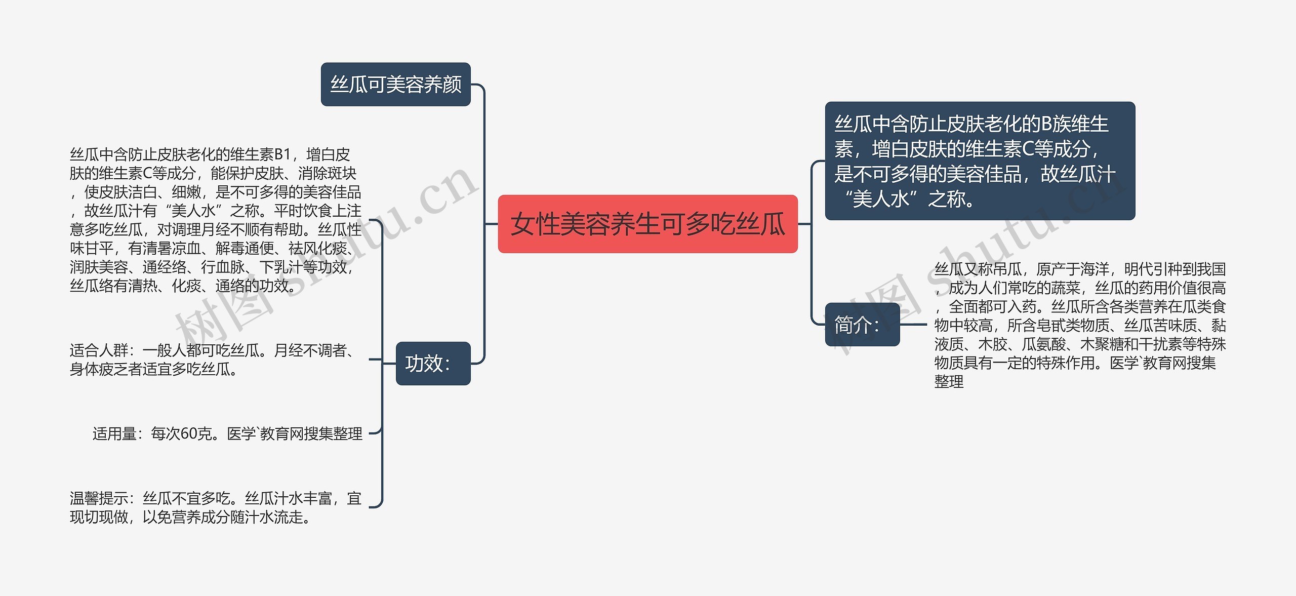 女性美容养生可多吃丝瓜思维导图