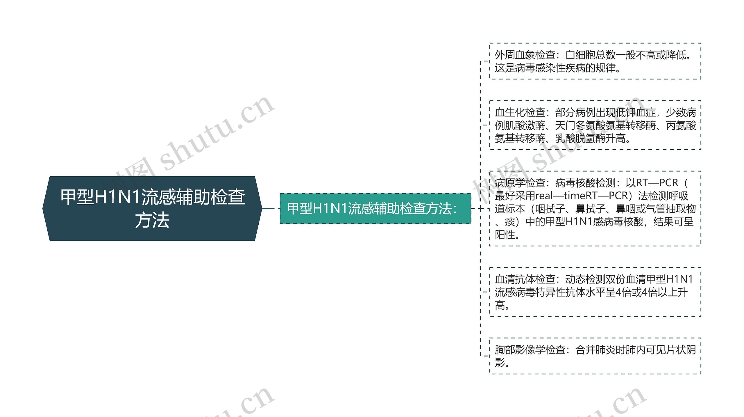 甲型H1N1流感辅助检查方法思维导图