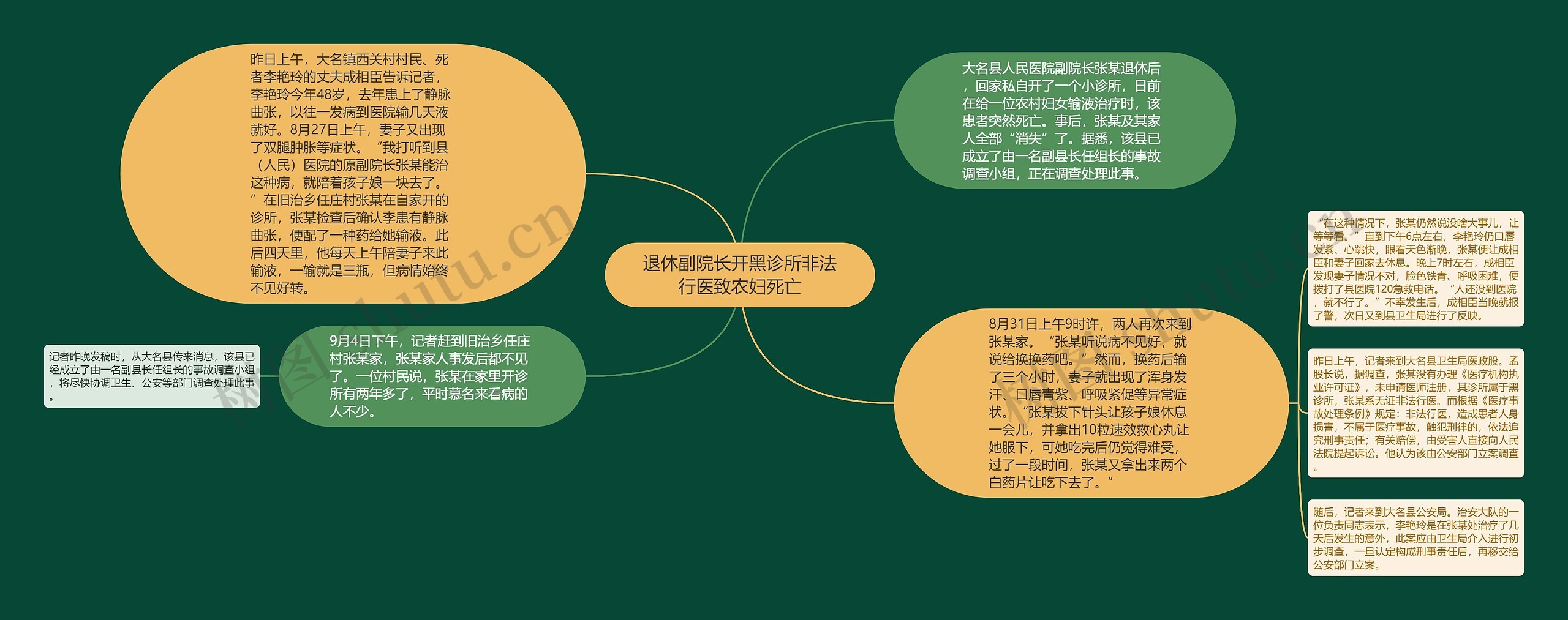 退休副院长开黑诊所非法行医致农妇死亡思维导图