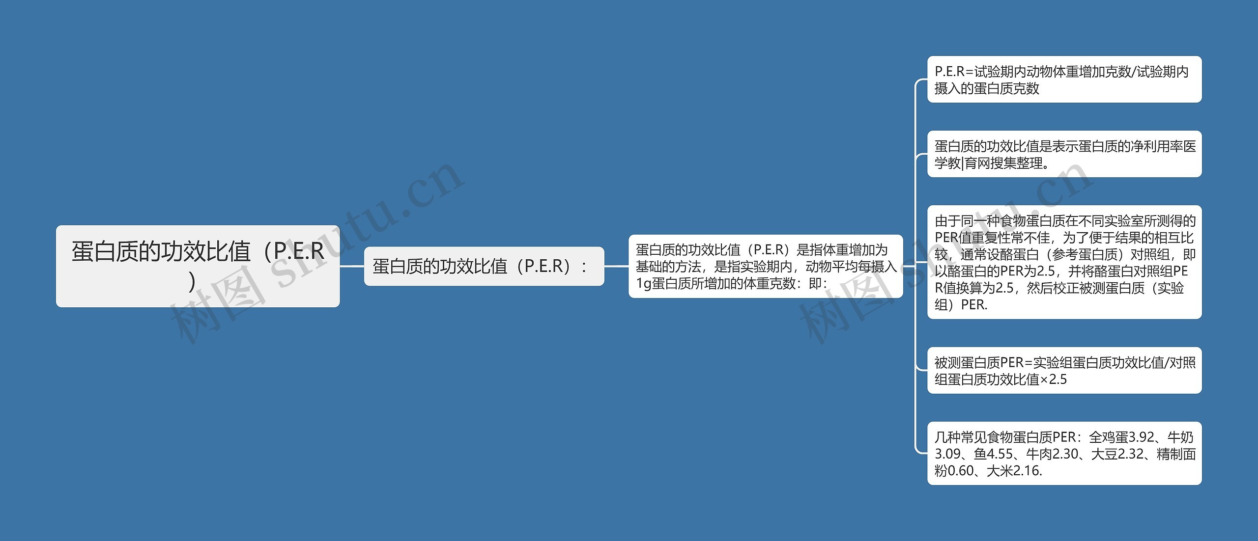 蛋白质的功效比值（P.E.R）思维导图