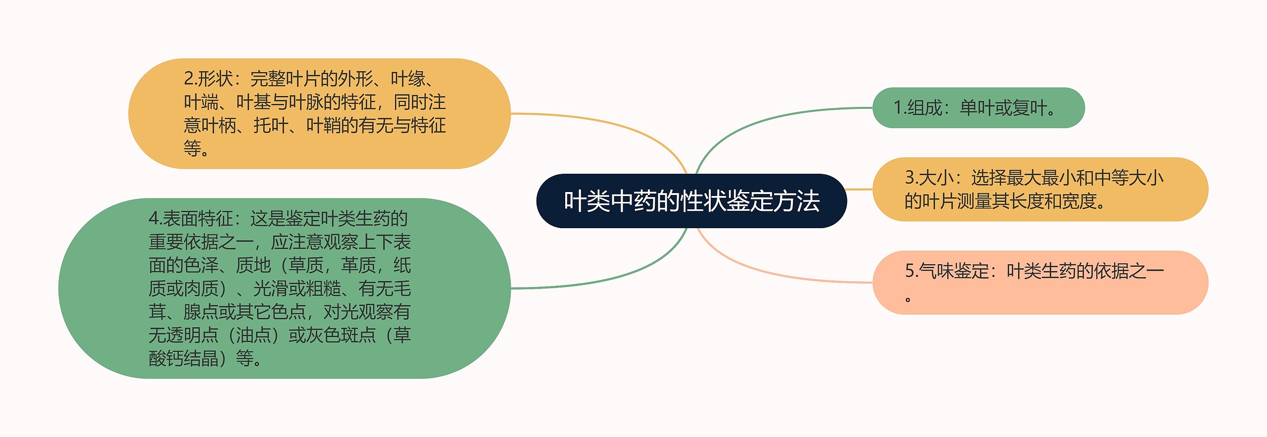 叶类中药的性状鉴定方法思维导图