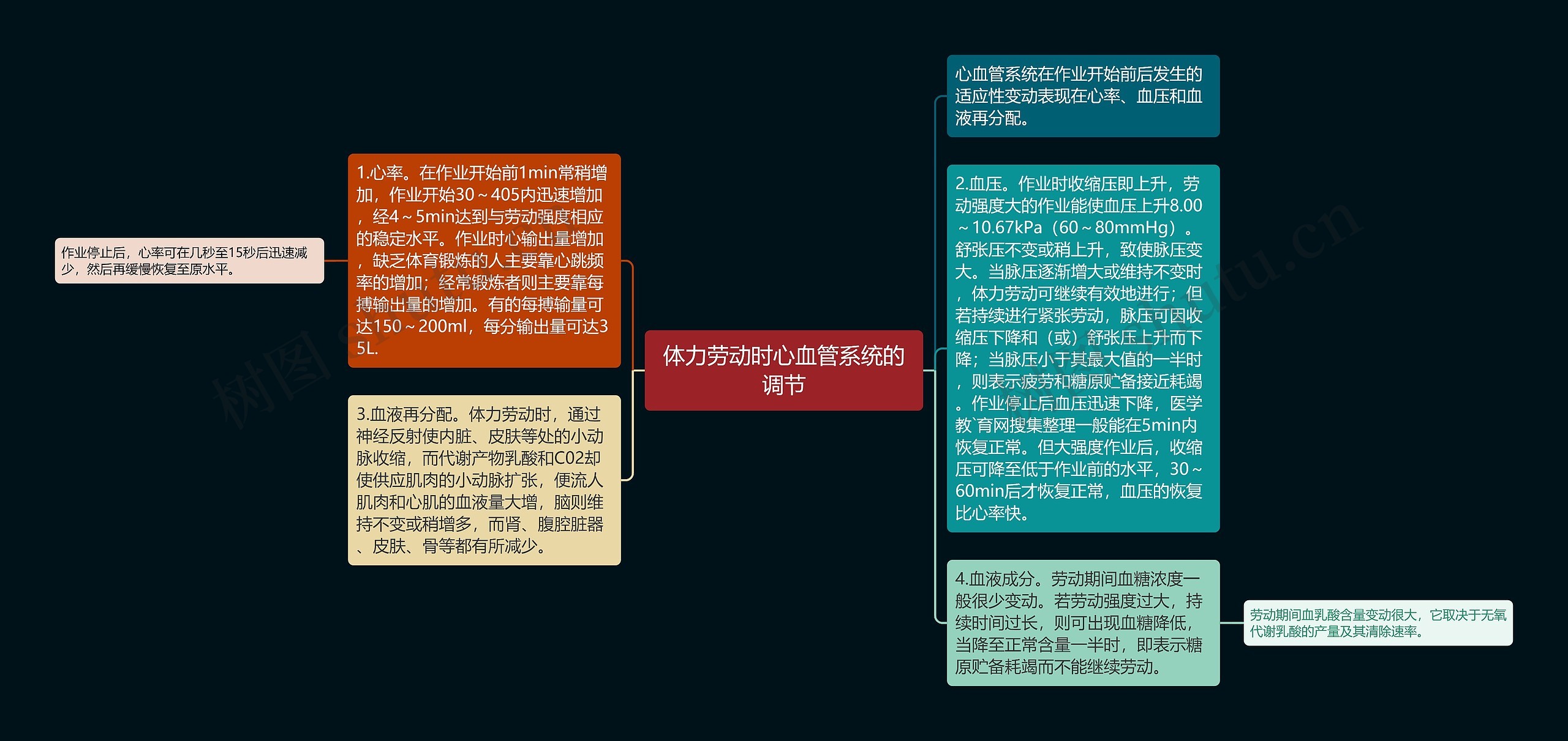 体力劳动时心血管系统的调节思维导图