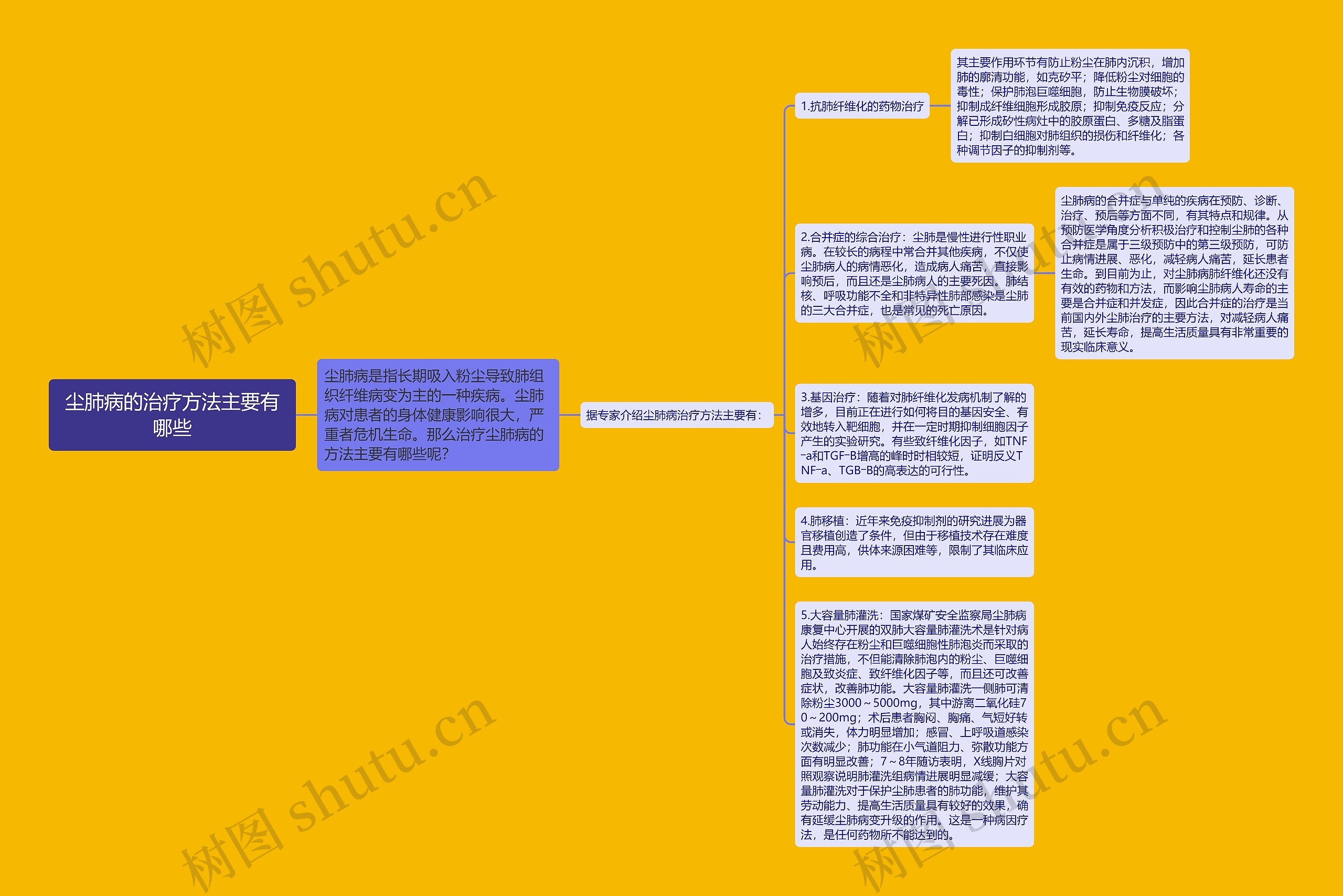 尘肺病的治疗方法主要有哪些思维导图