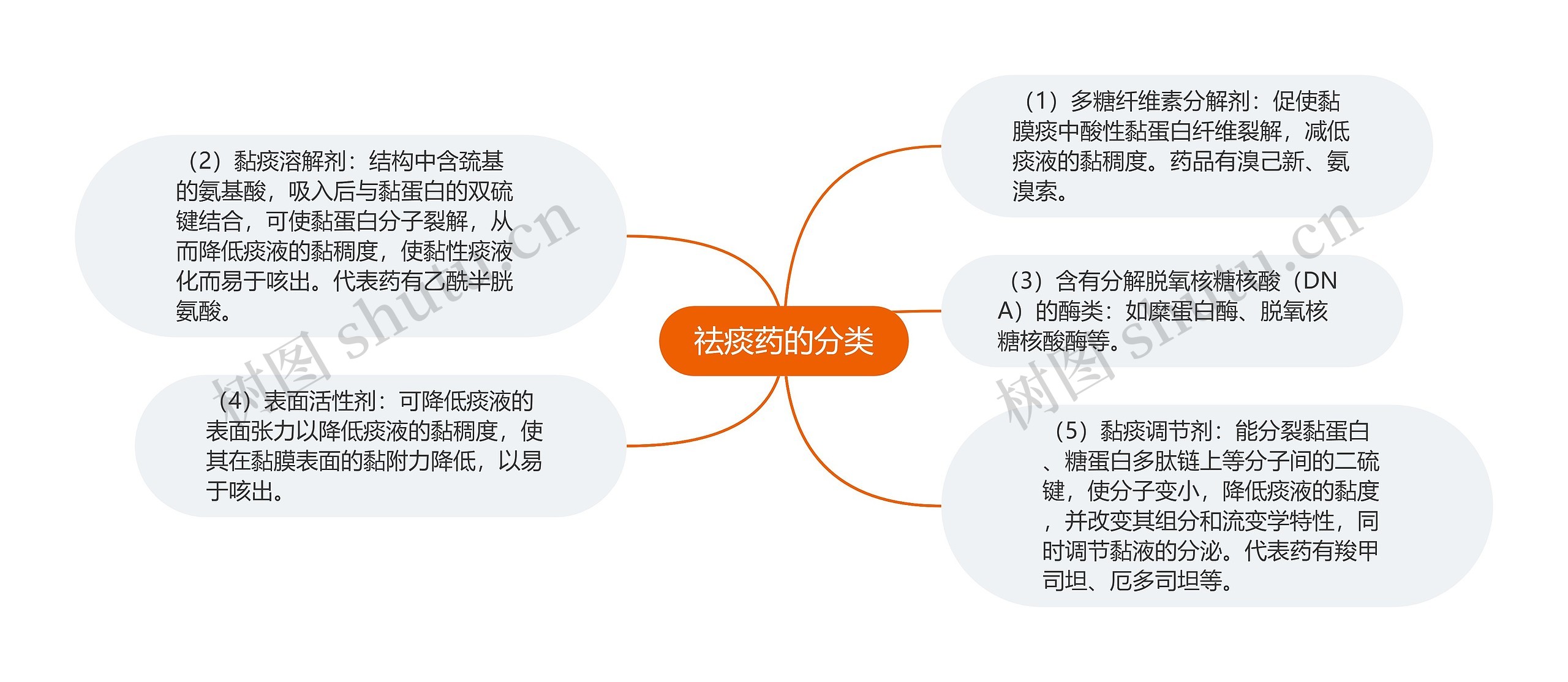 祛痰药的分类思维导图