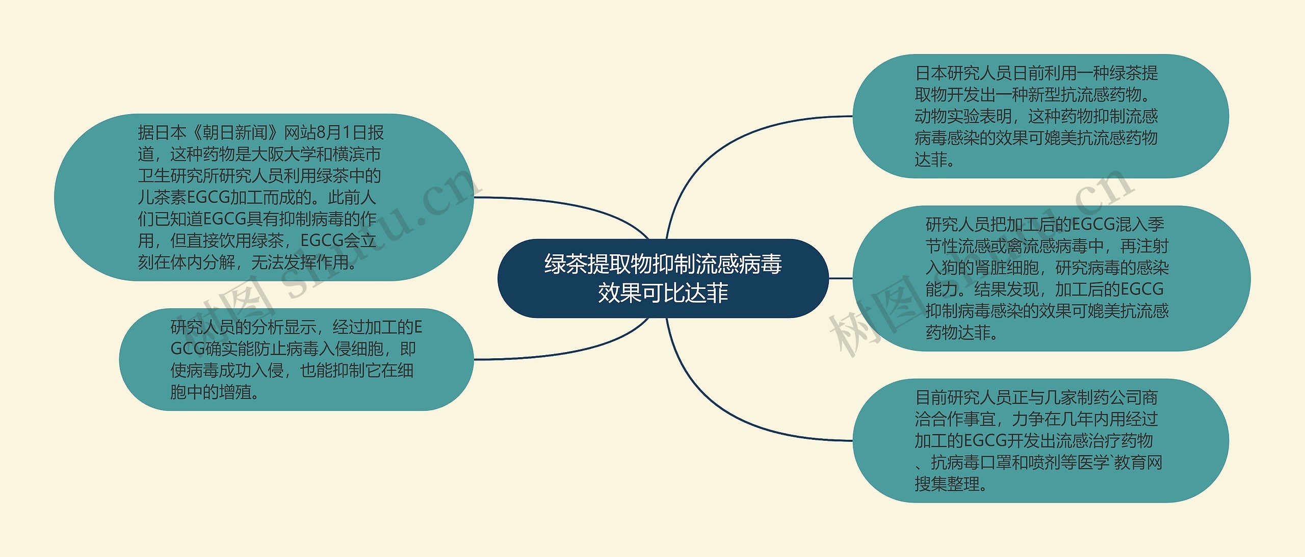 绿茶提取物抑制流感病毒效果可比达菲思维导图