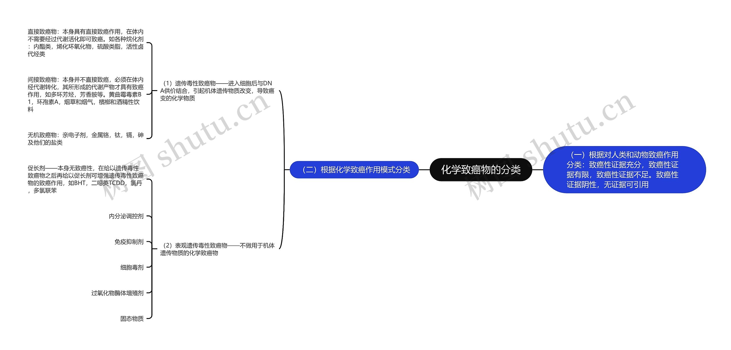 化学致癌物的分类思维导图