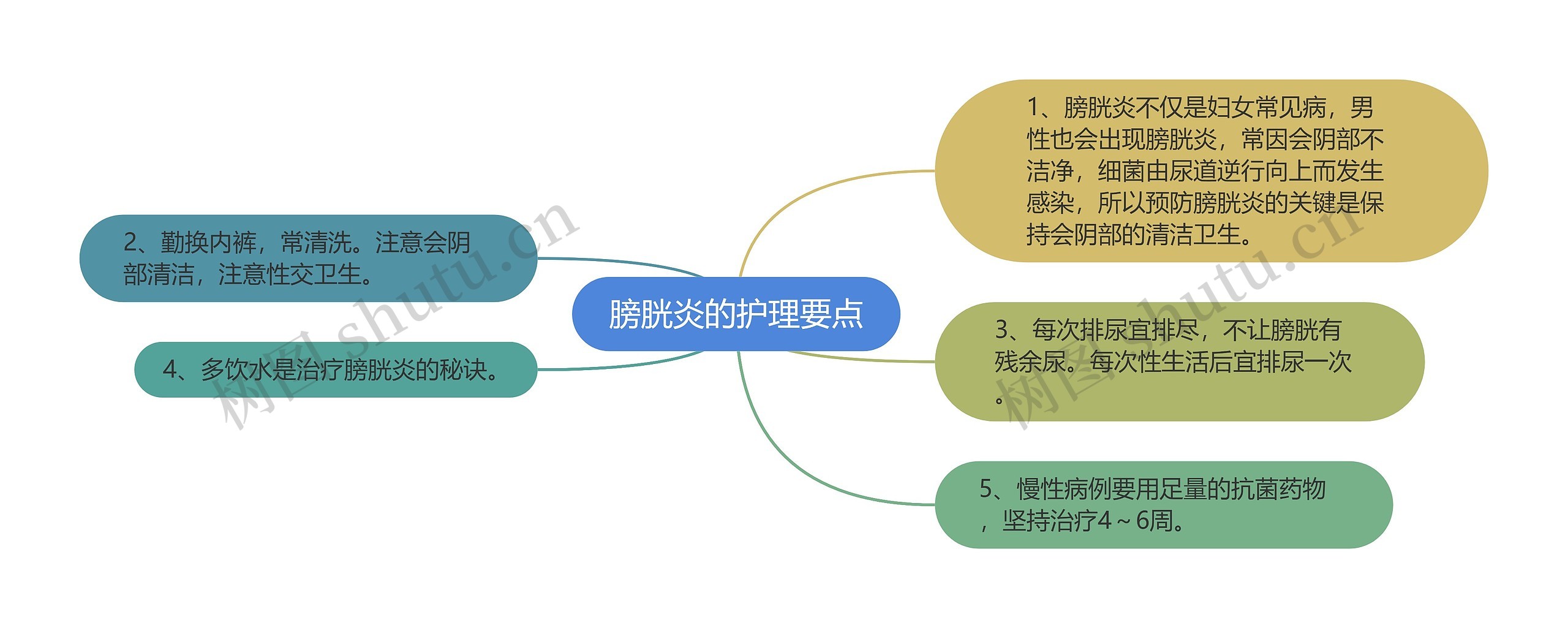 膀胱炎的护理要点思维导图