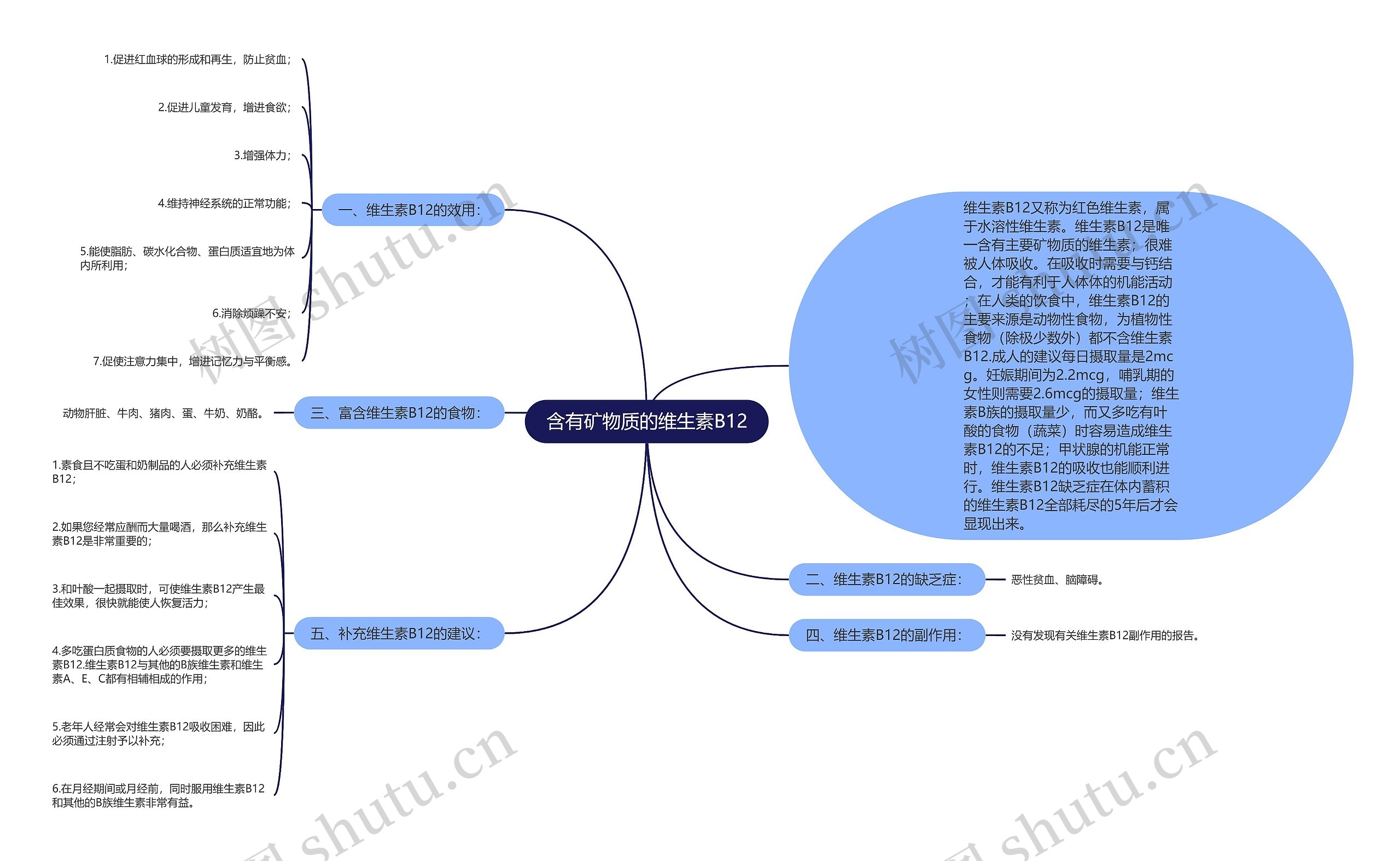 含有矿物质的维生素B12