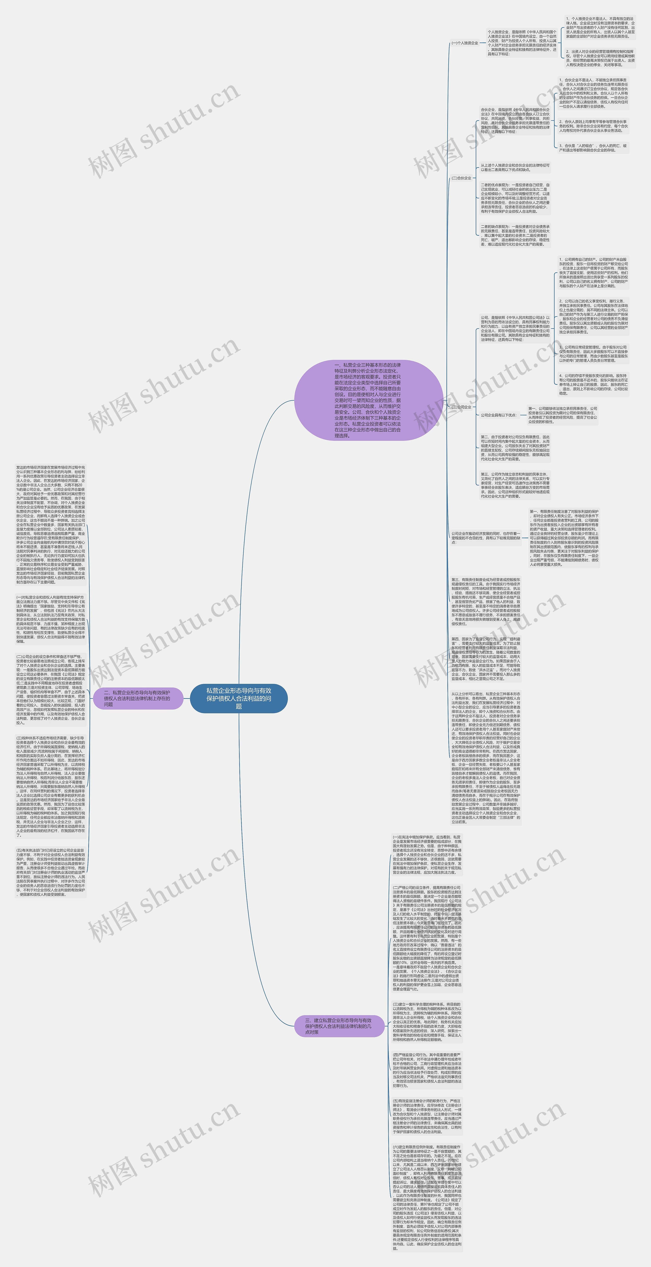 私营企业形态导向与有效保护债权人合法利益的问题思维导图