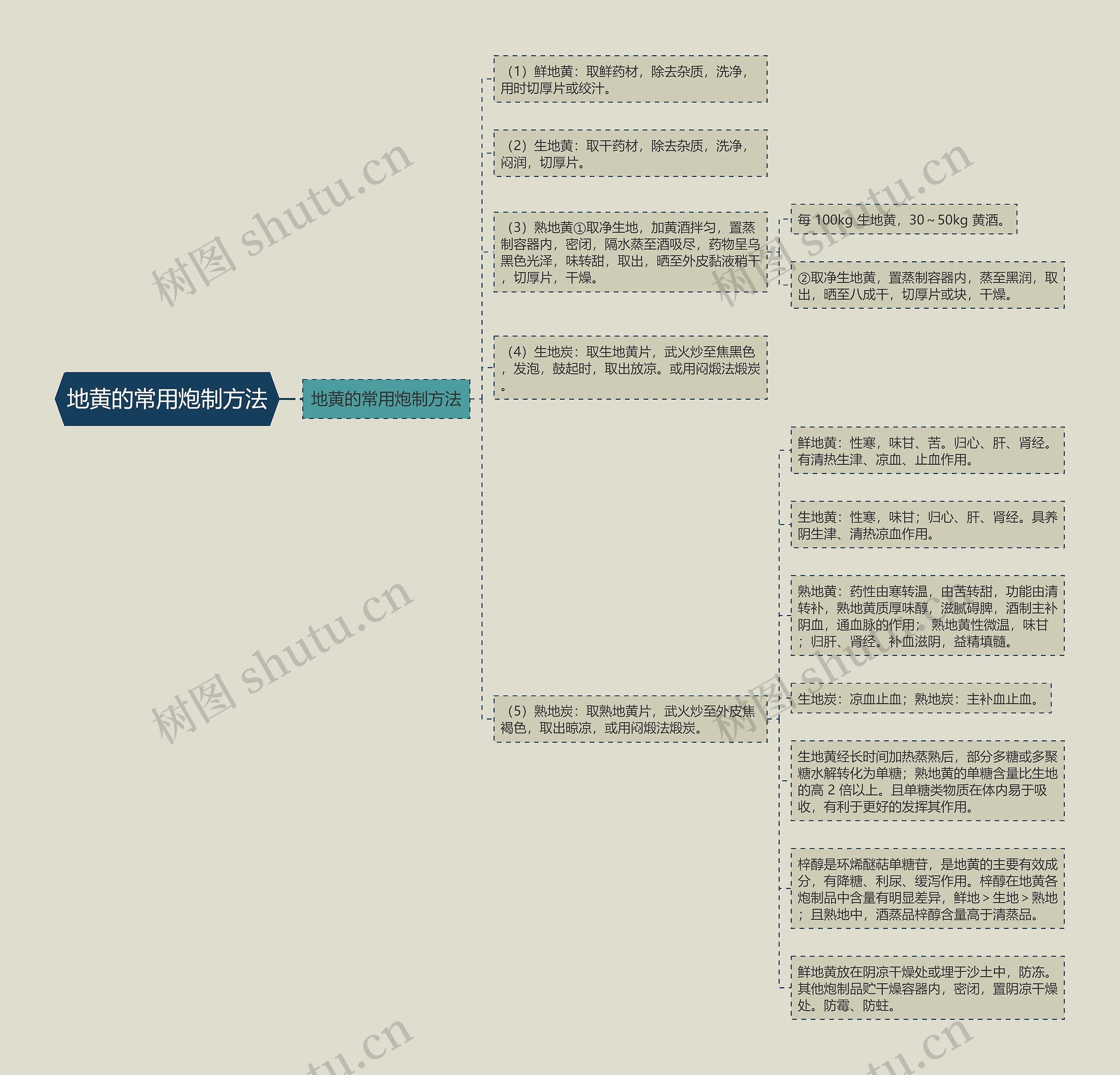 地黄的常用炮制方法思维导图