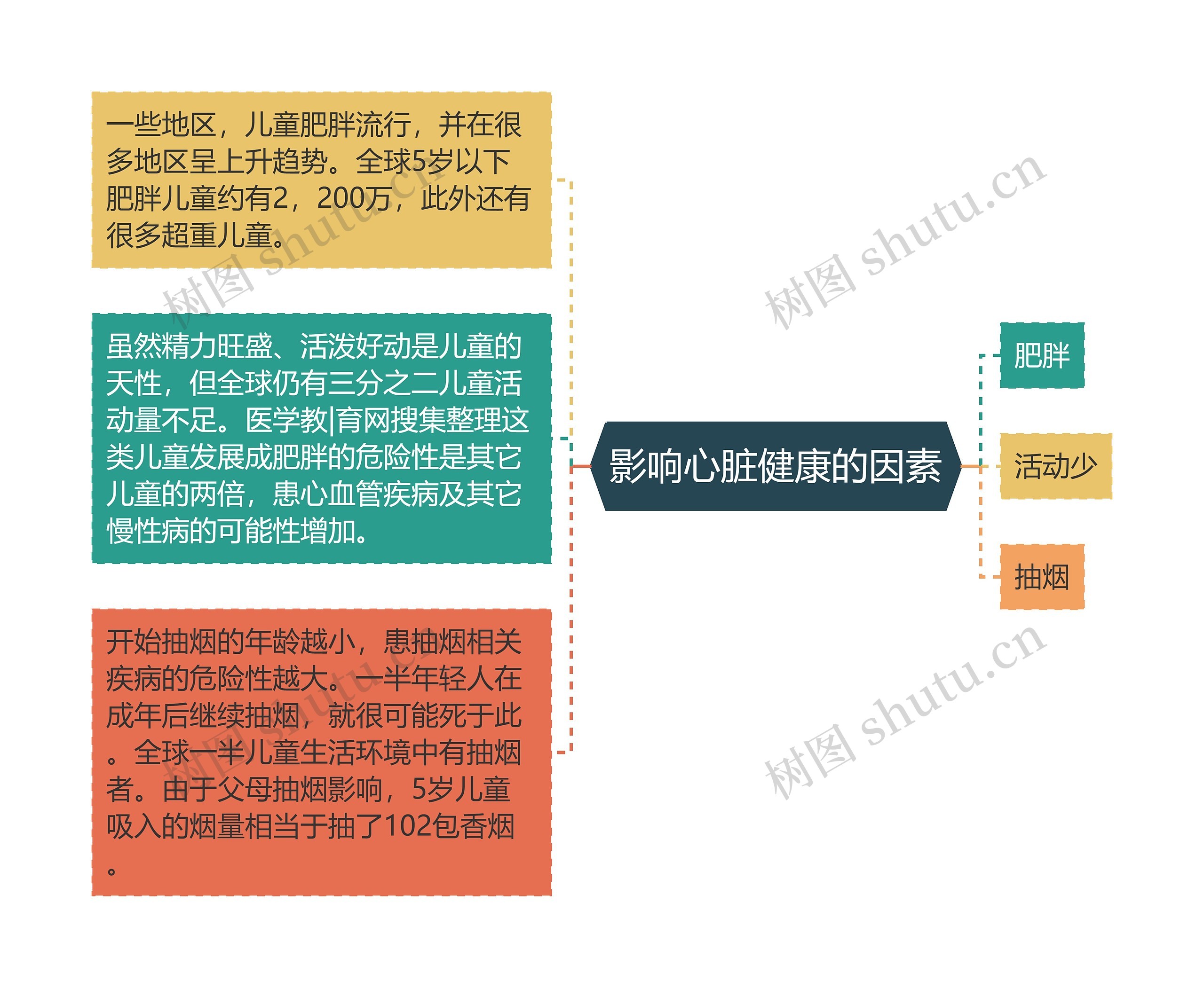 影响心脏健康的因素思维导图