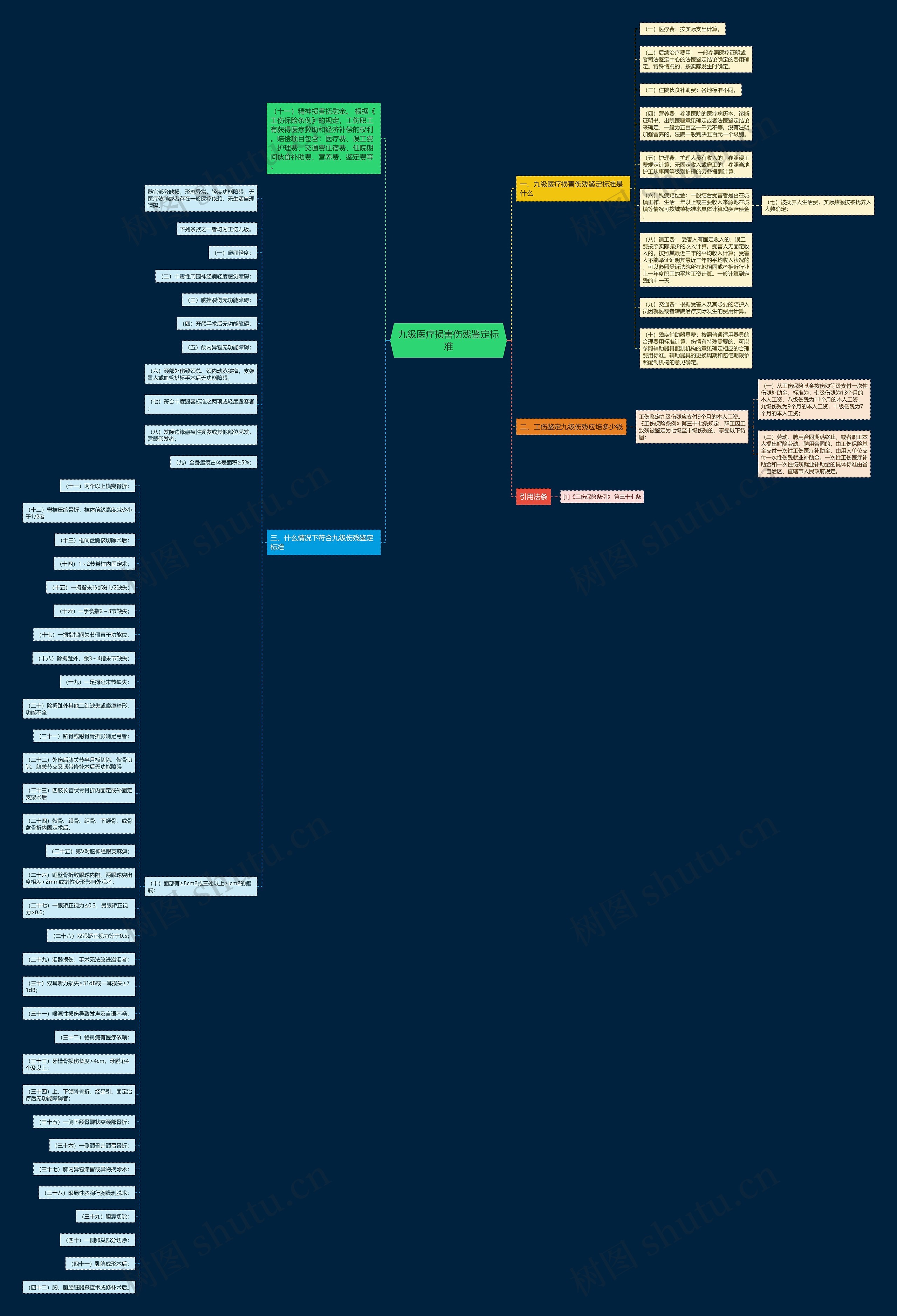 九级医疗损害伤残鉴定标准思维导图